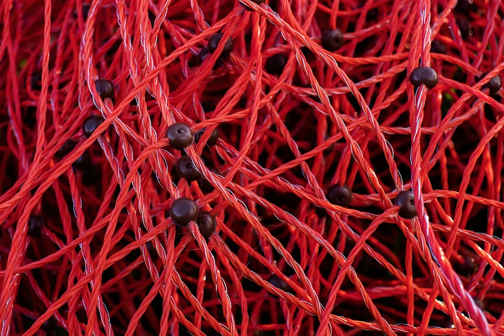 a close up of a bunch of red wires