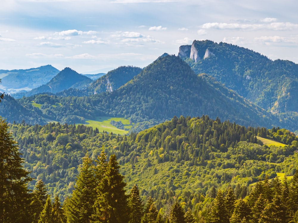 a view of a mountain range with trees and mountains in the background