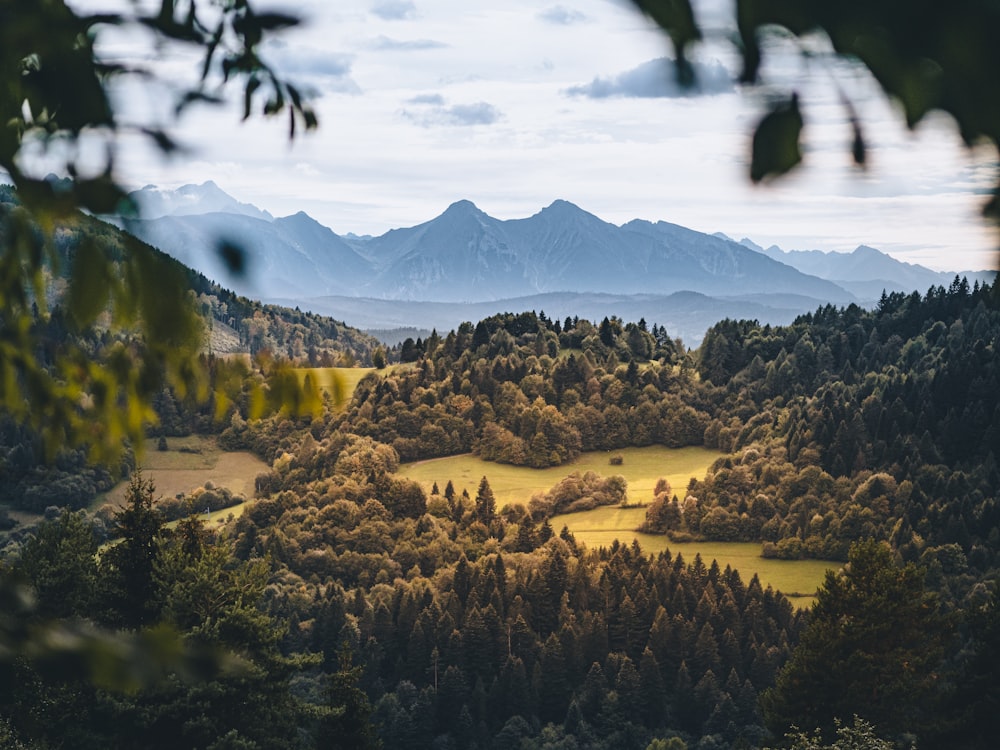 a scenic view of a valley with mountains in the background