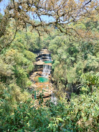 A beautifully lush landscape featuring a cascading waterfall flowing into a series of turquoise pools surrounded by dense green foliage. Branches from a nearby tree frame the top of the scene, adding depth to the vibrant natural setting. A few people can be seen near the pool enjoying the serene environment.