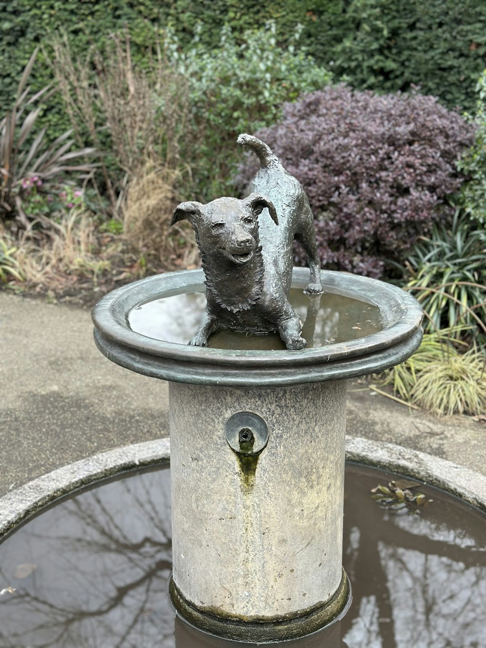a statue of a dog on top of a fountain