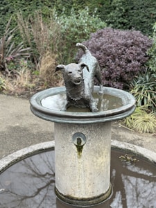 Stainless Steel Fountain