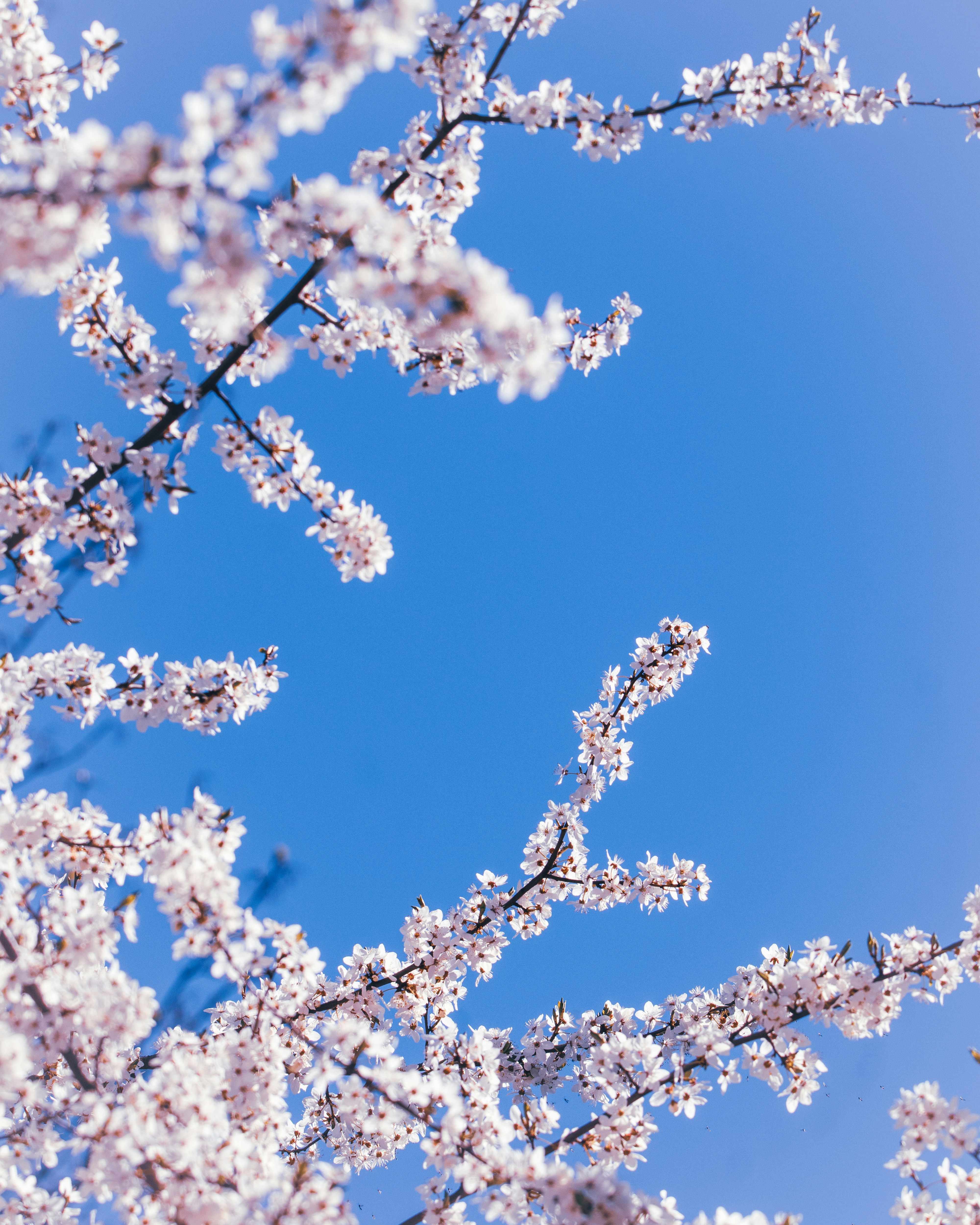 Photo by damiankarpinski_photo