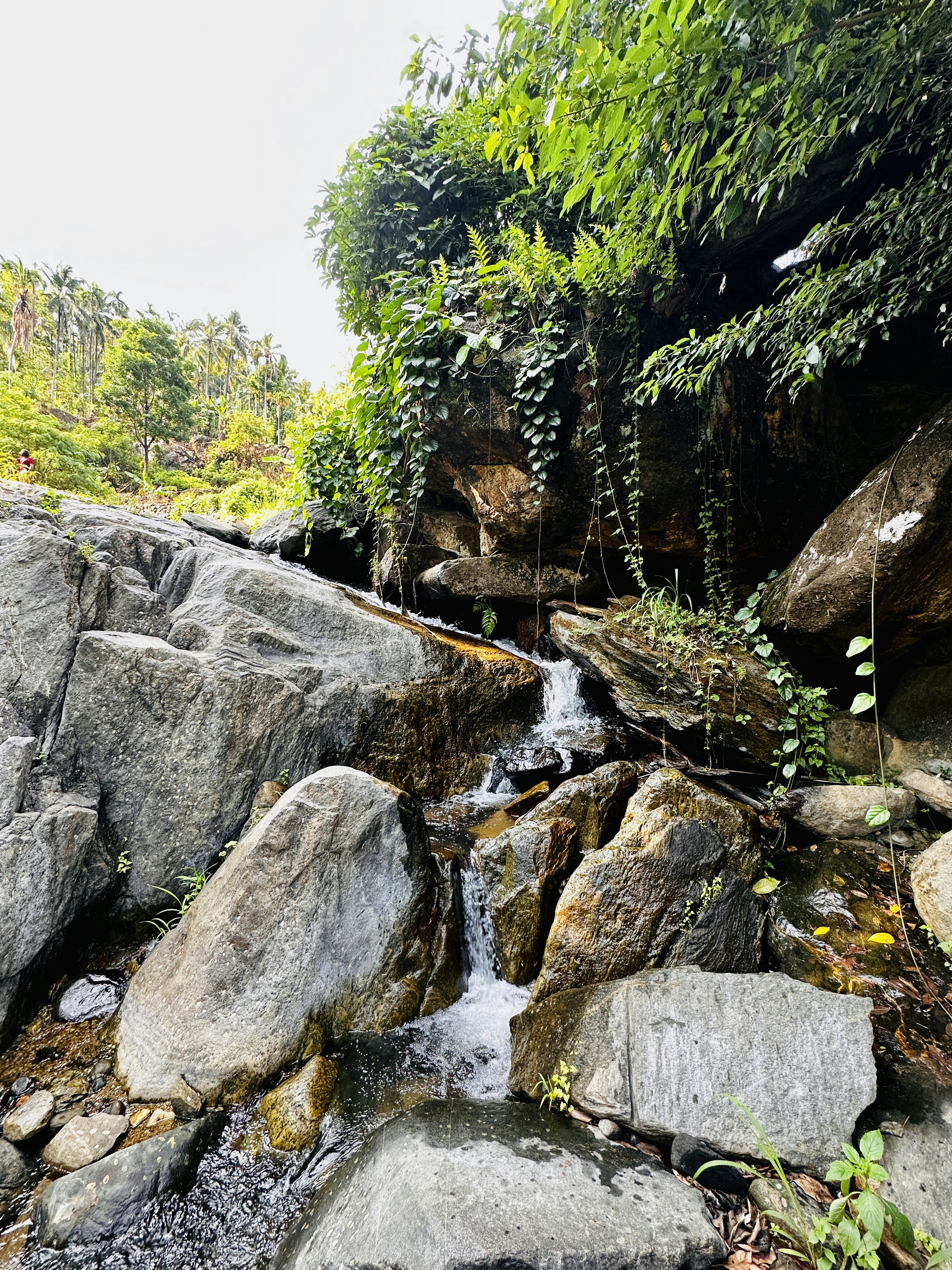 Photo by harshadaju