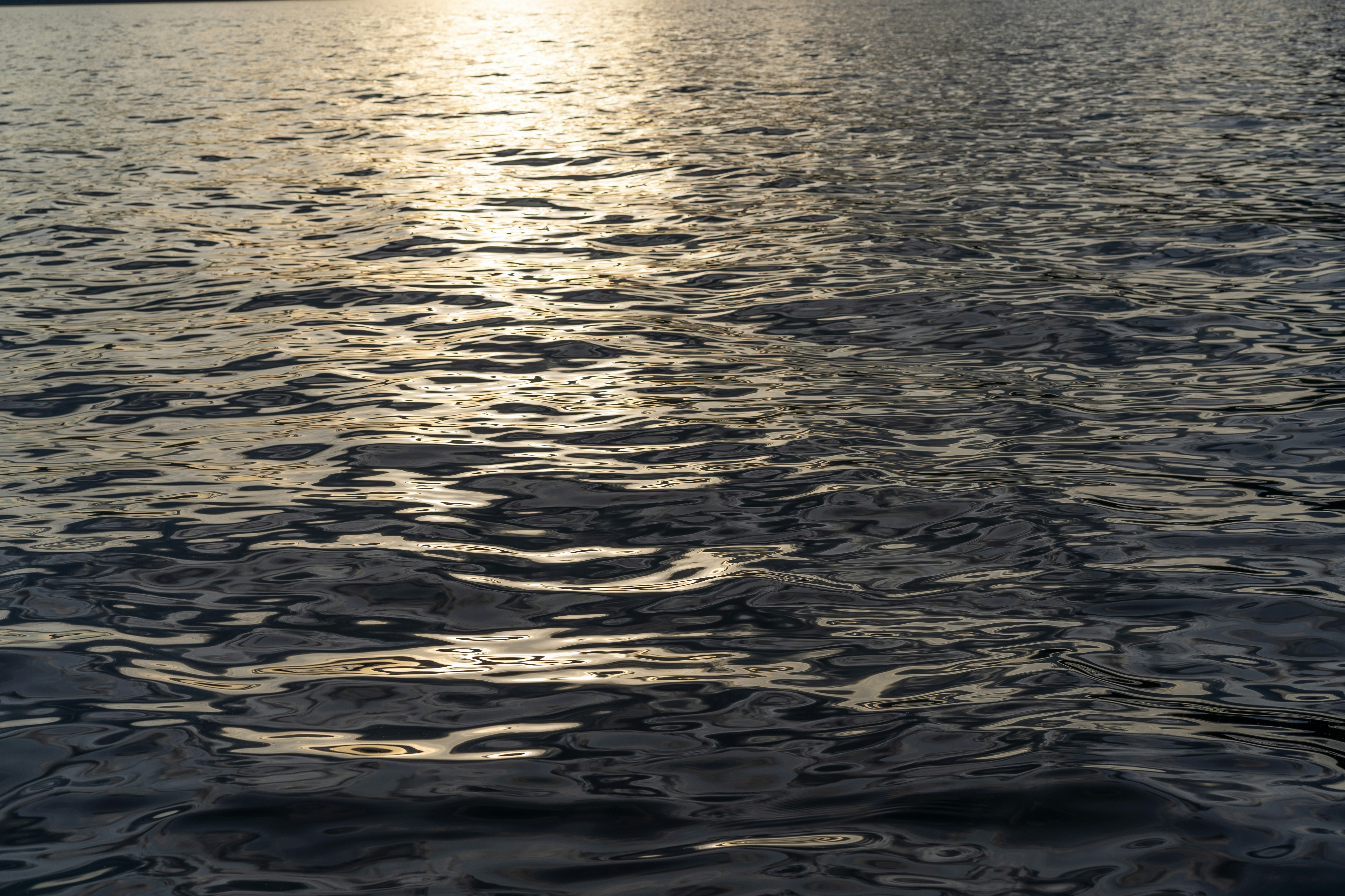 Photo by thebradleygossett