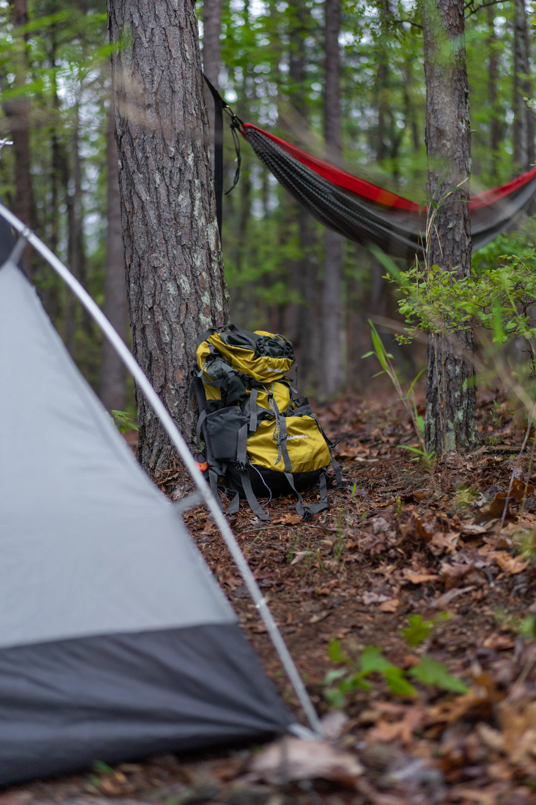 Camping backpack beside a tent and hammock in a forest