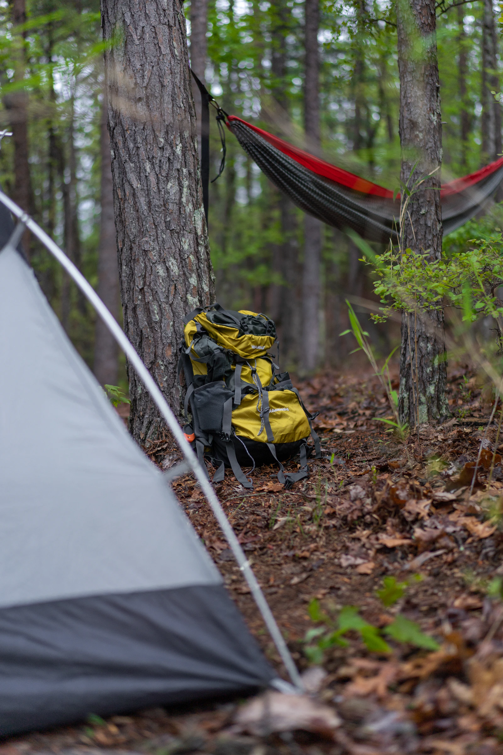 Tent and backpack positioned for outdoor equipment care