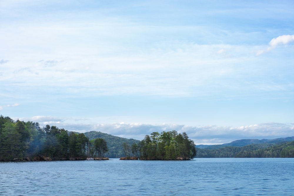 a large body of water surrounded by trees