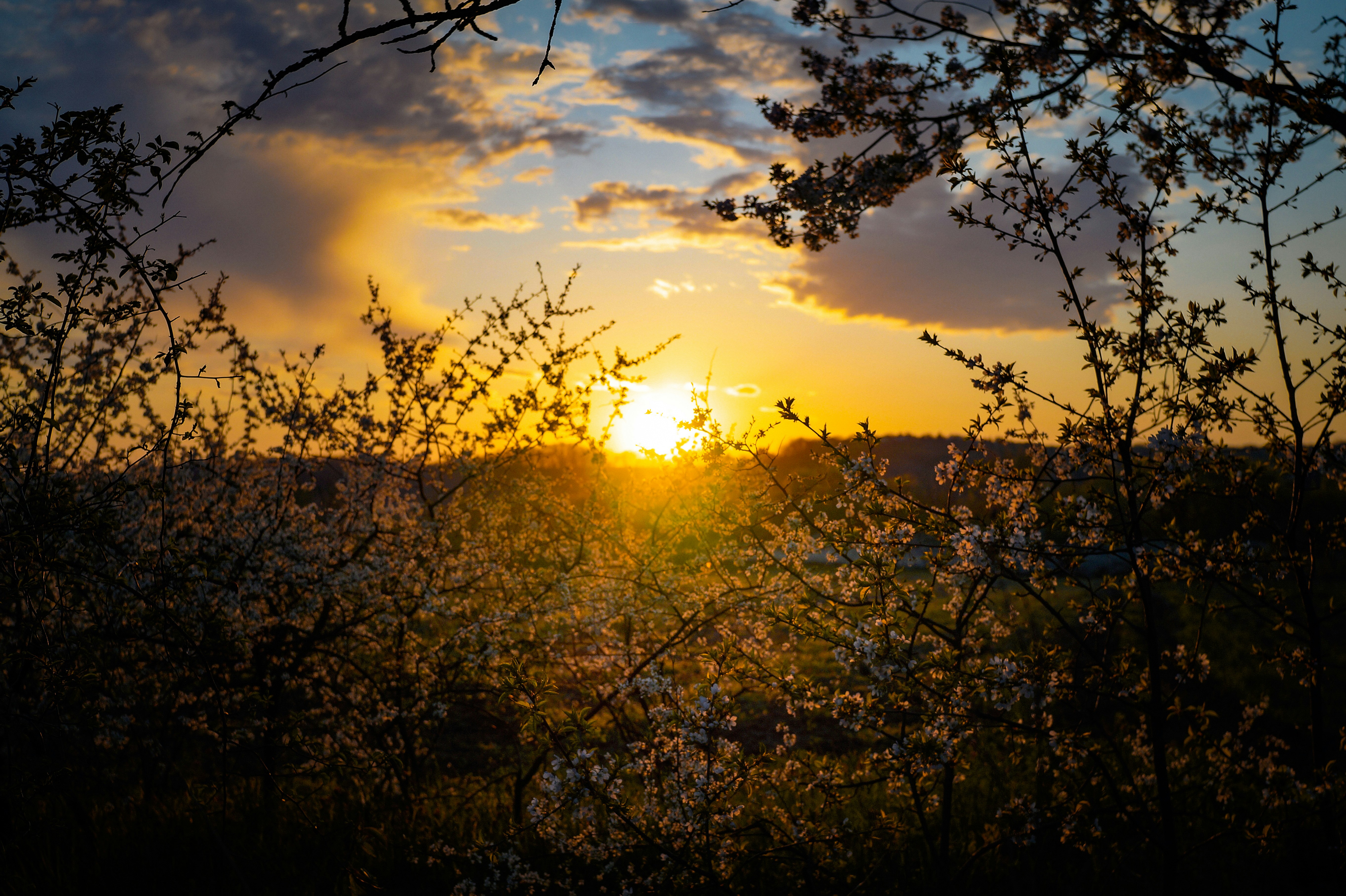 Photo by valentine_ivanova