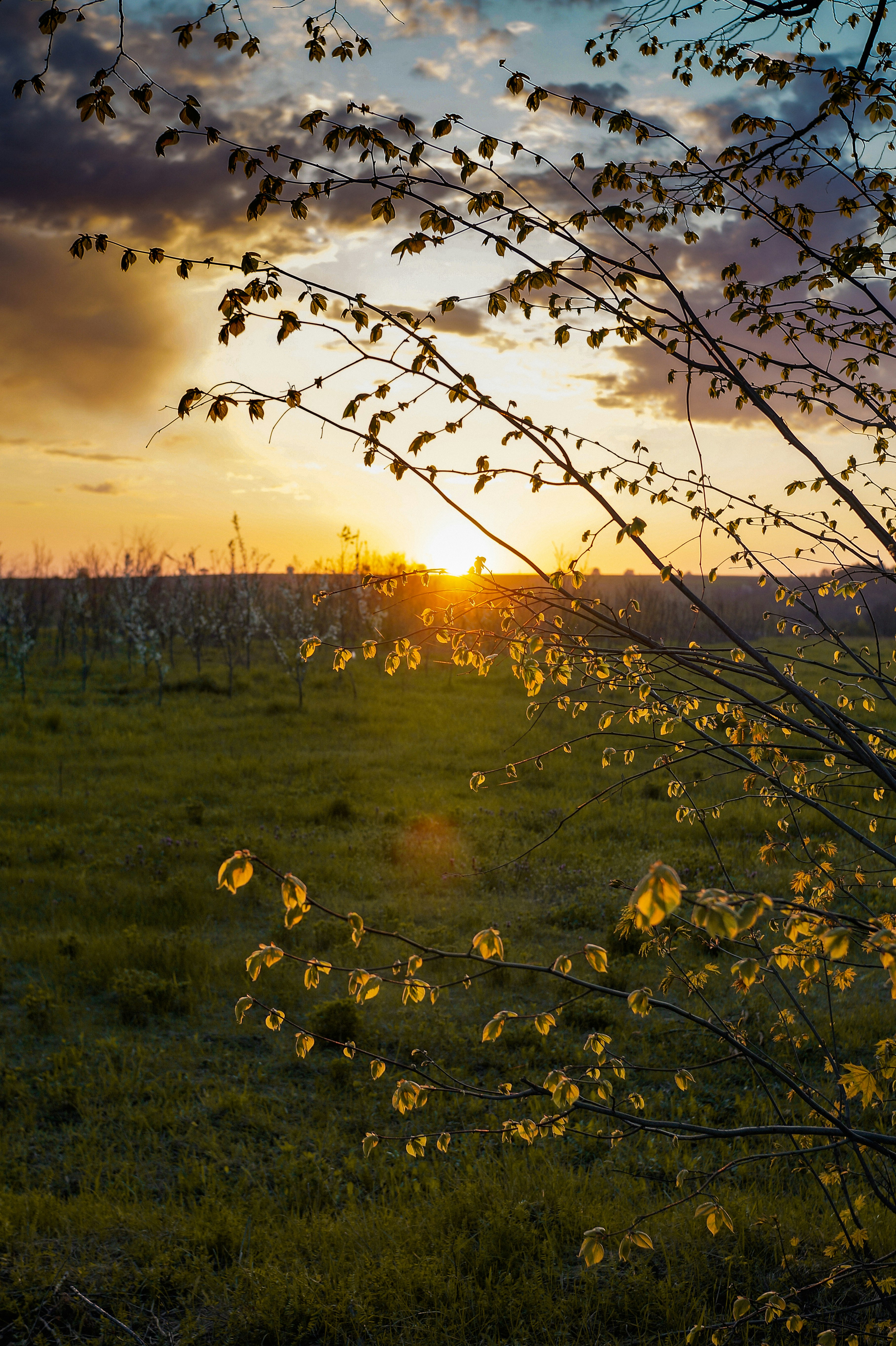 Photo by valentine_ivanova