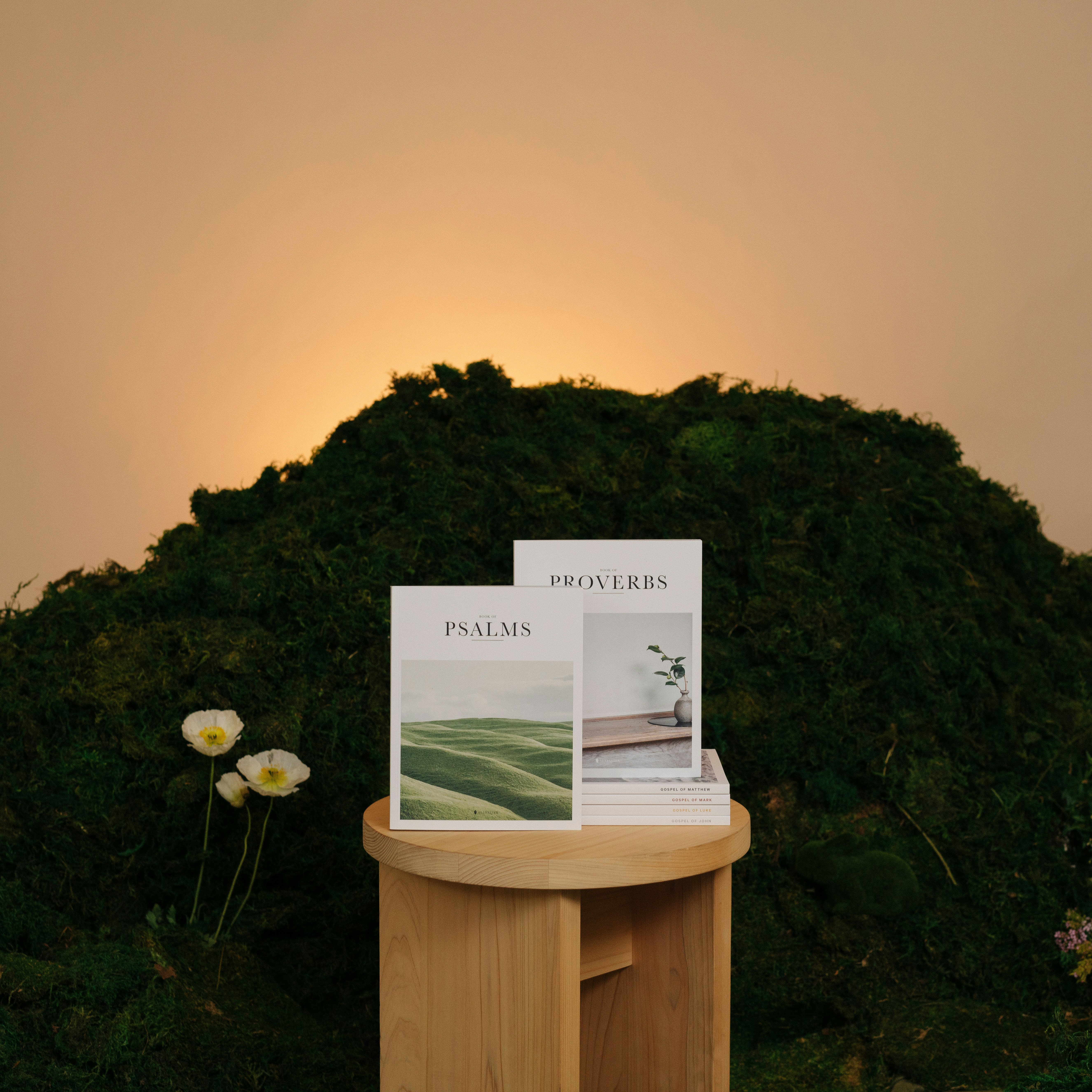 une table avec un magazine dessus