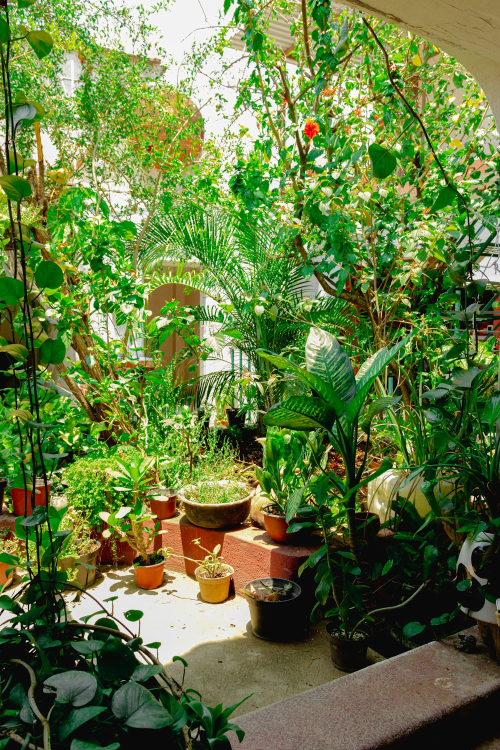 a room filled with lots of different types of plants