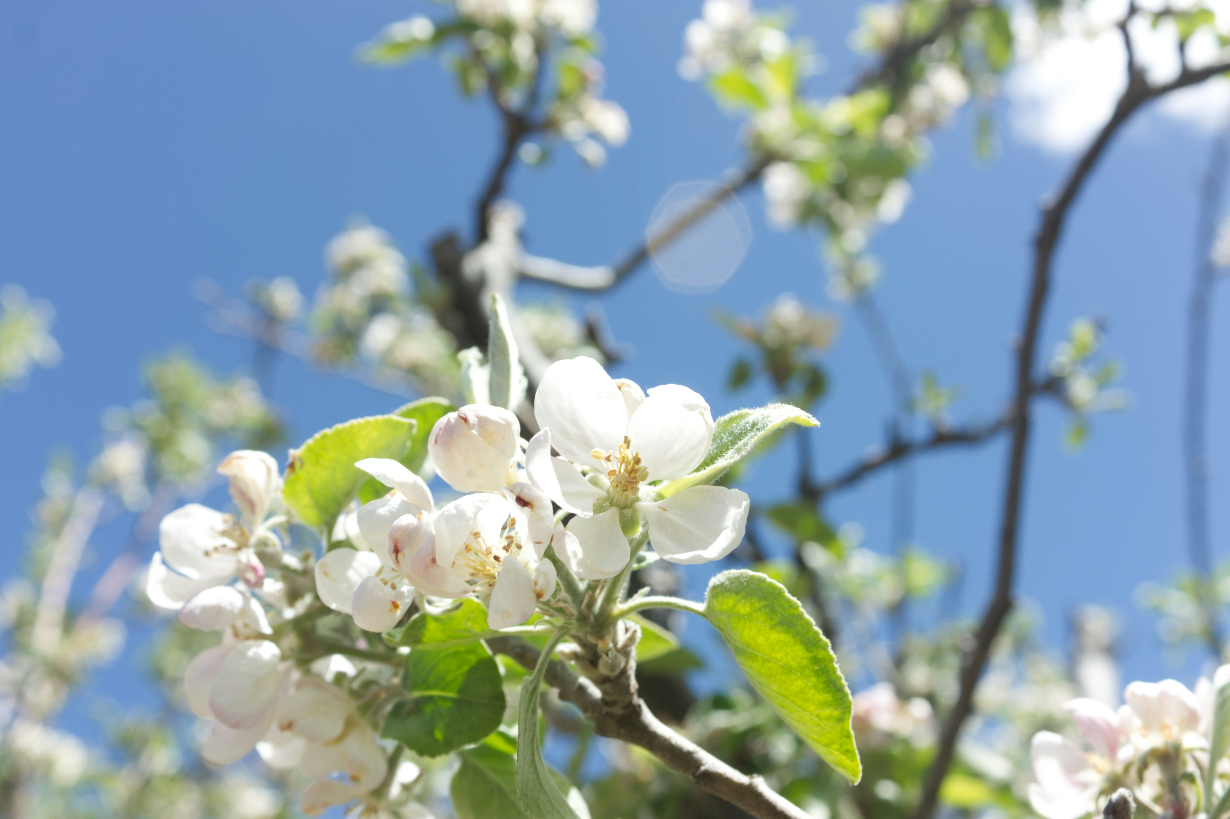 Photo by sforlphotography