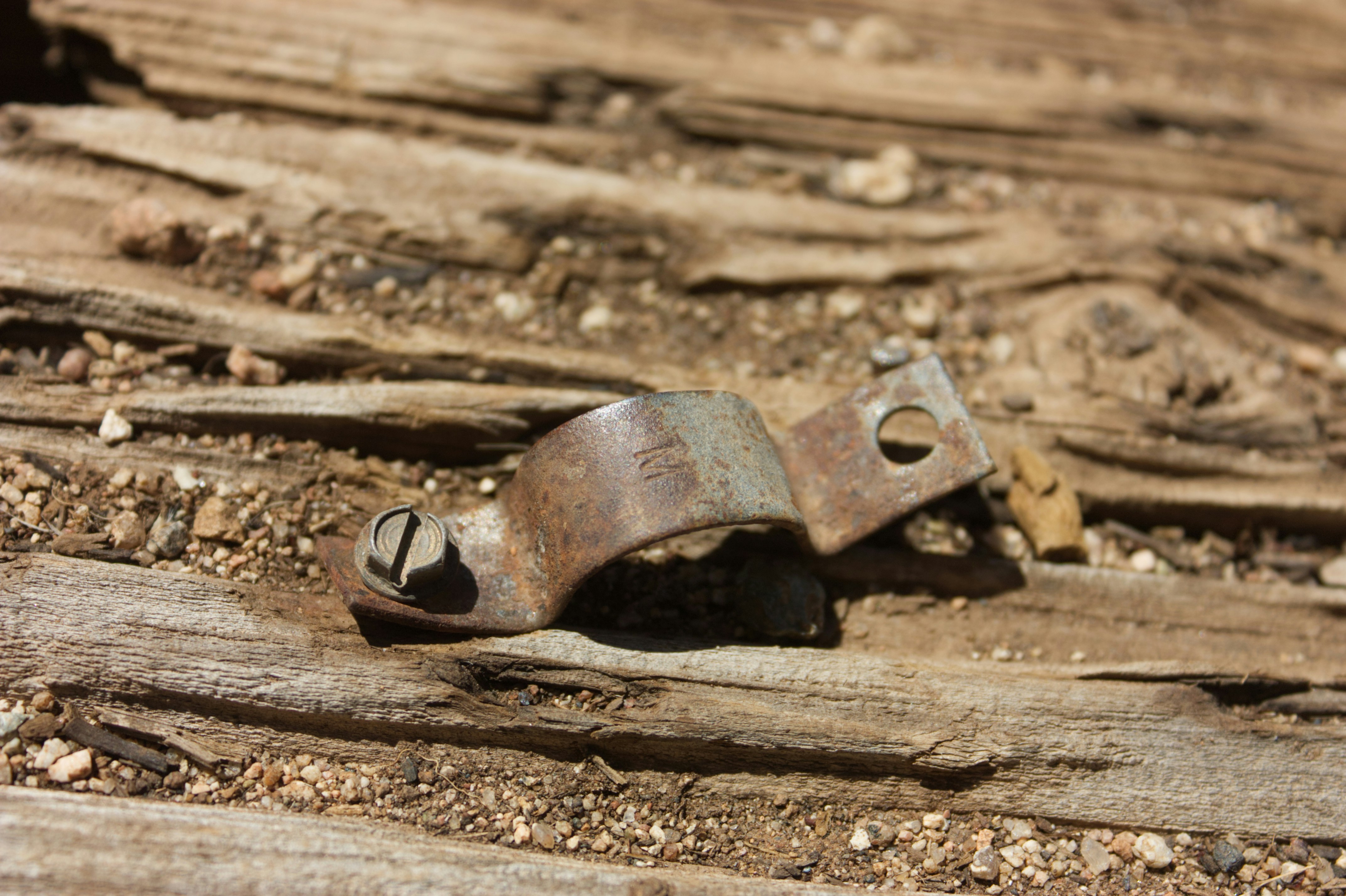 Photo by sforlphotography