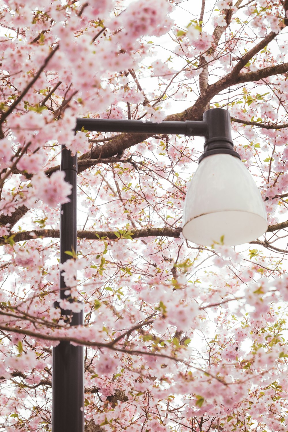 a lamp post with a white light hanging from it's side