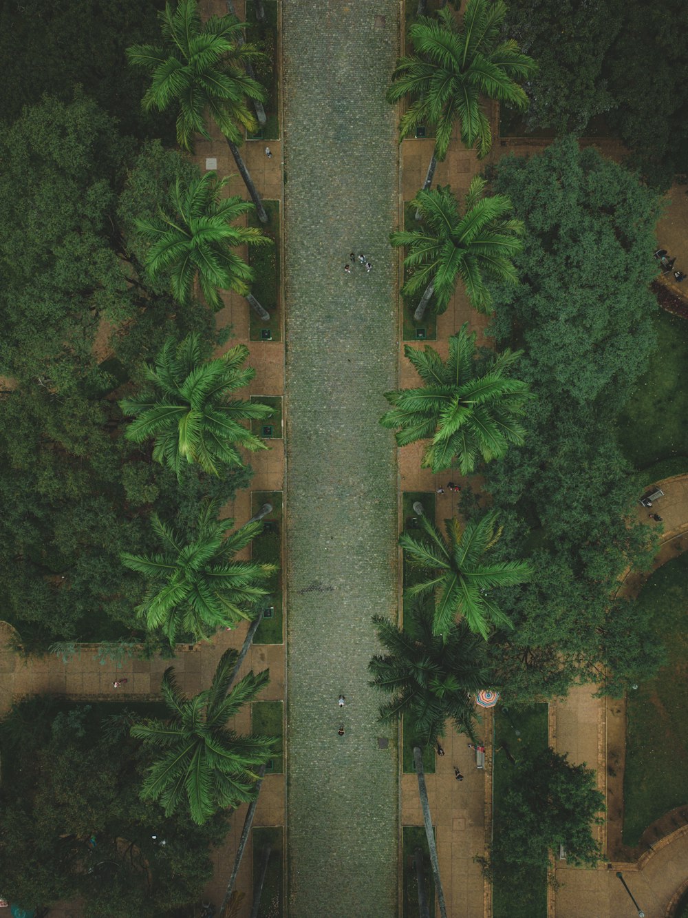 an aerial view of a park with a bench and trees