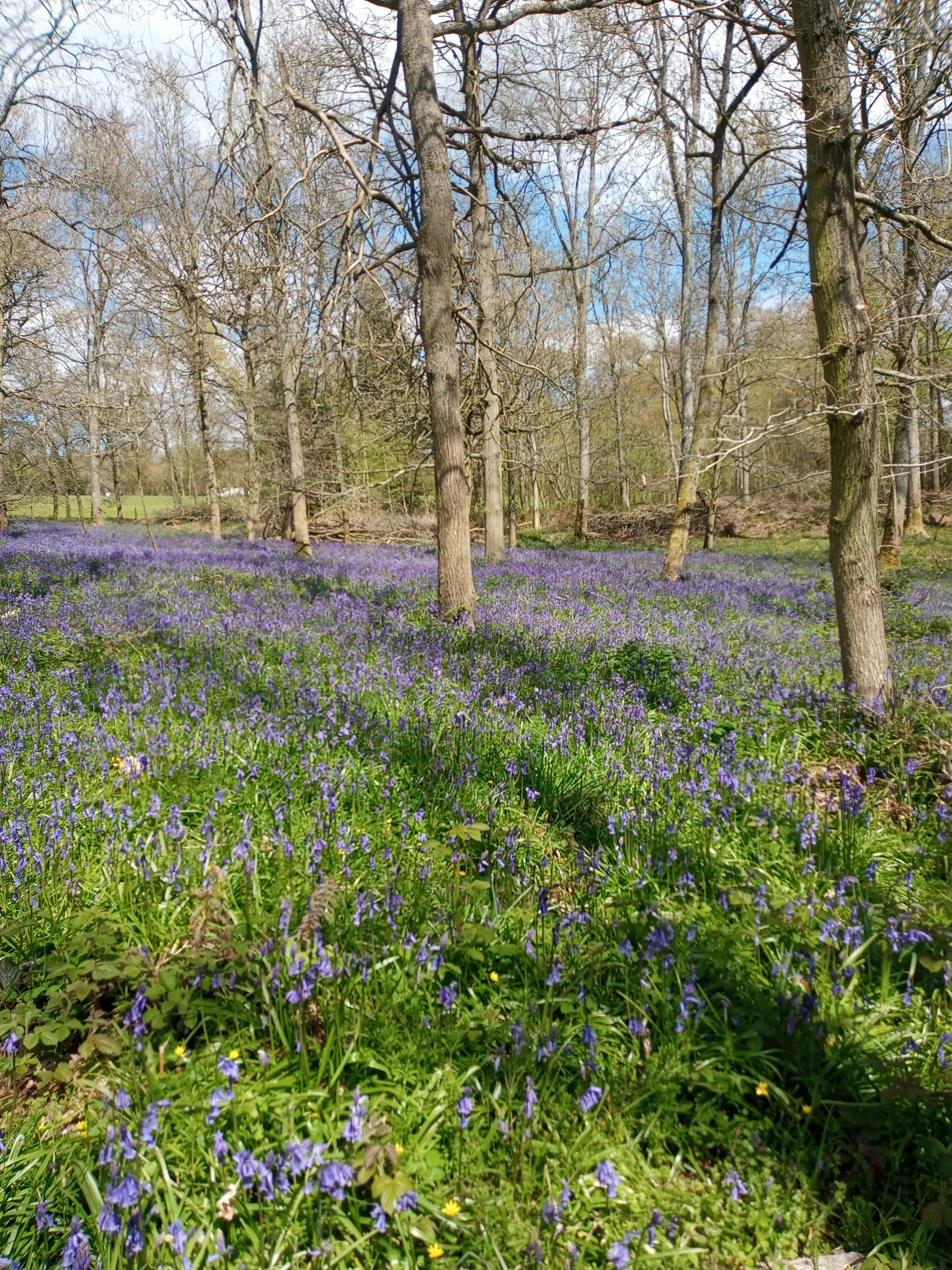 Photo by billy_brodzinski