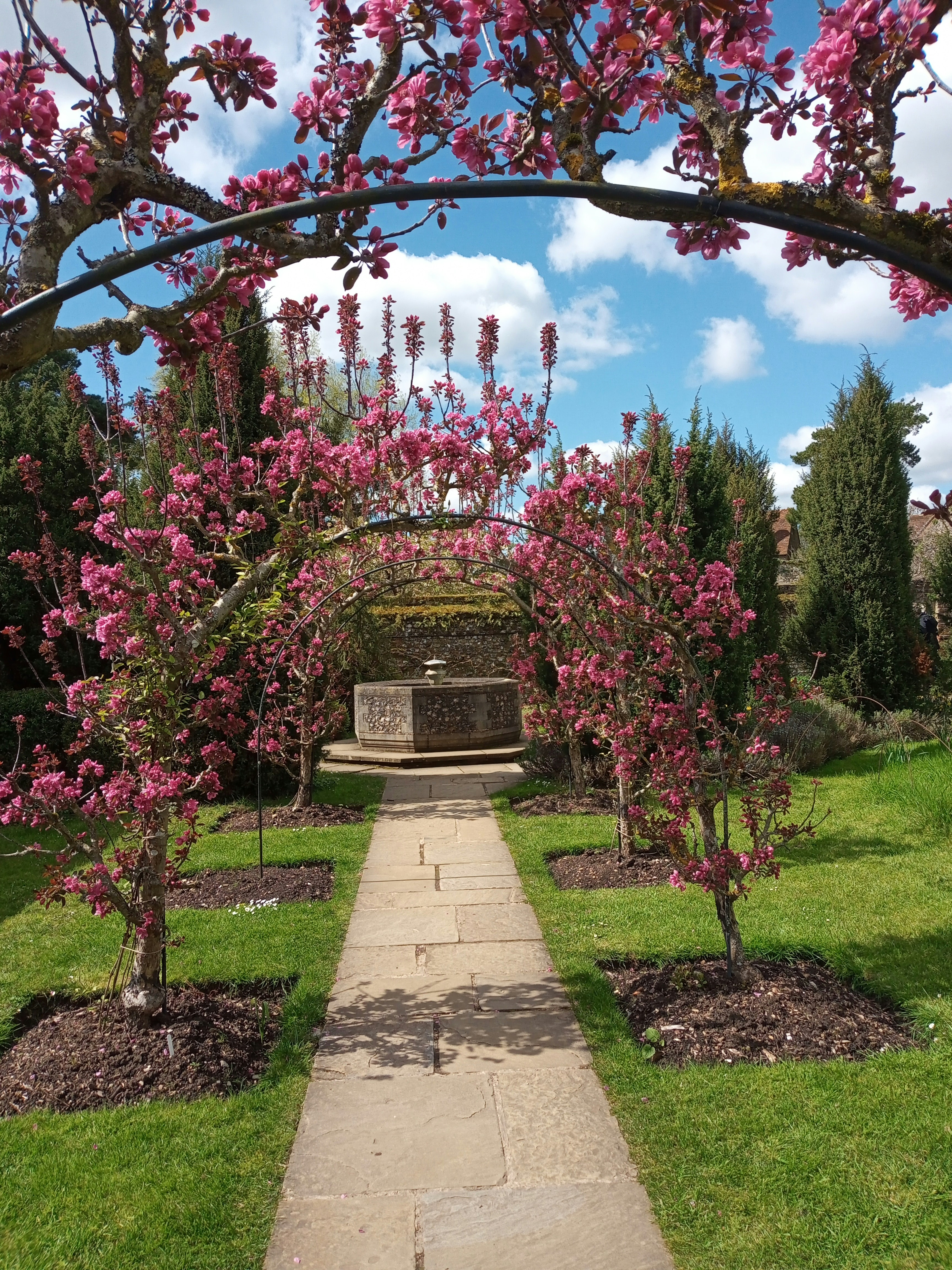 a walkway in a park with pink flowers on the trees