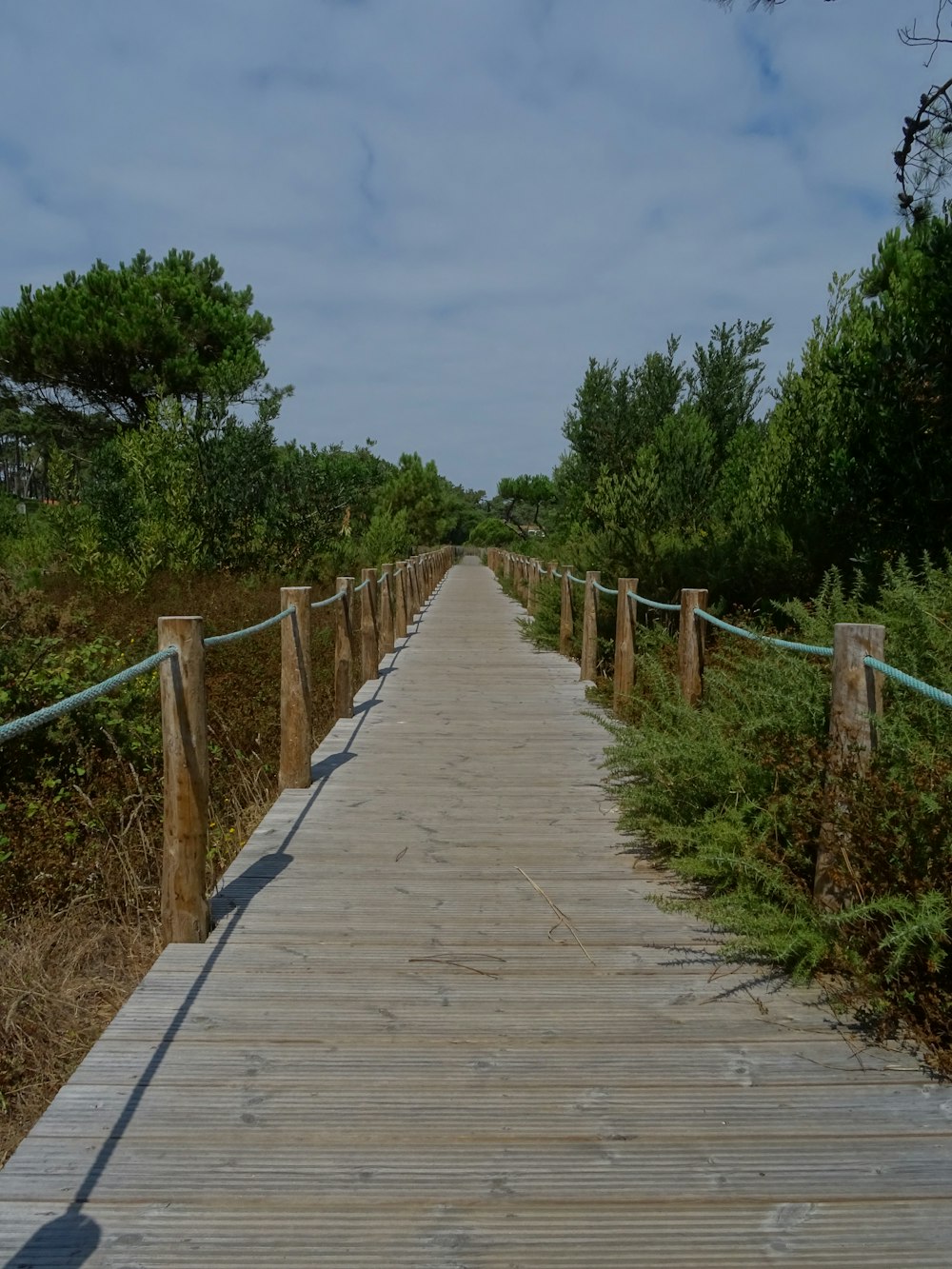 a long wooden bridge with a blue railing