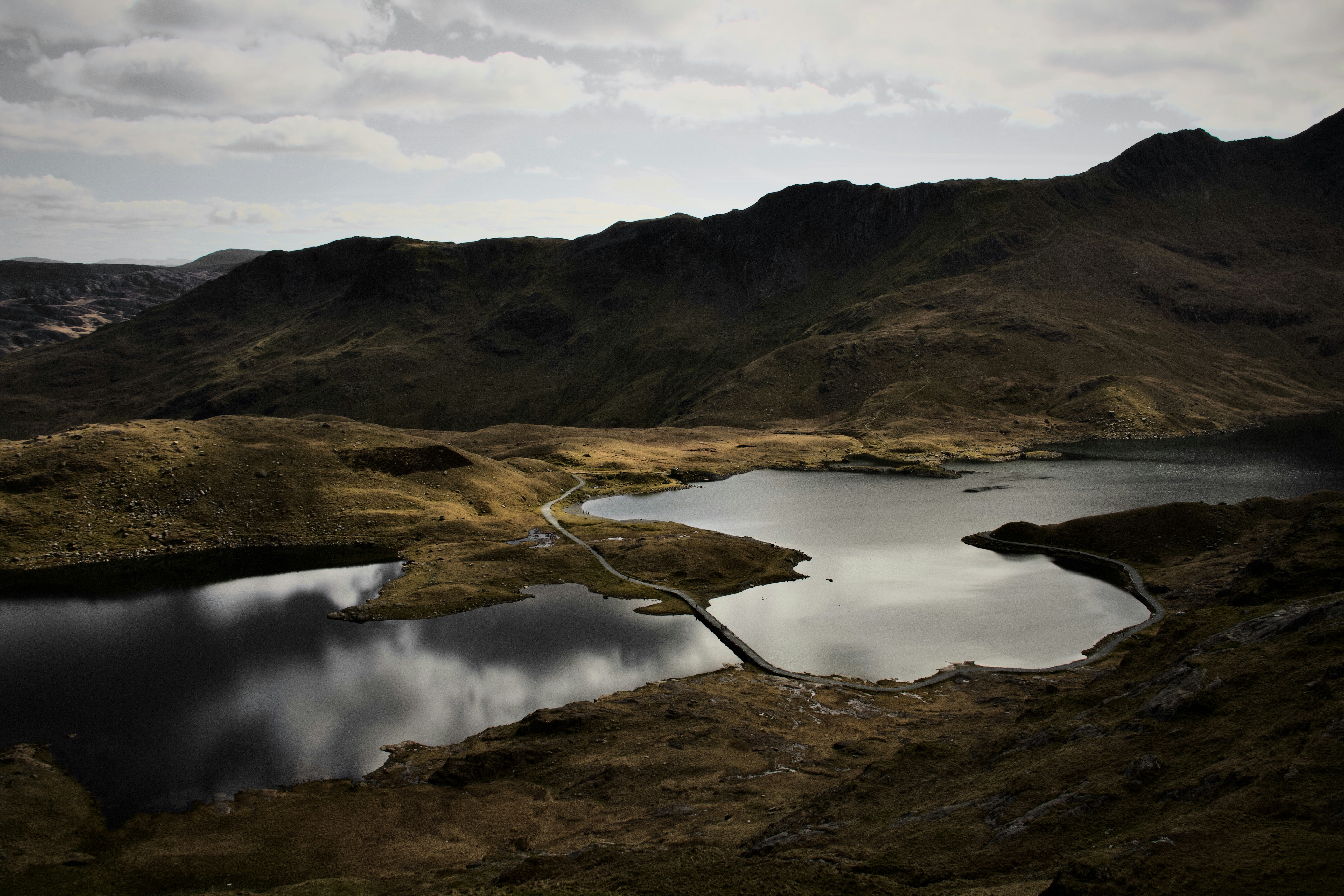 Photo by palemartin1