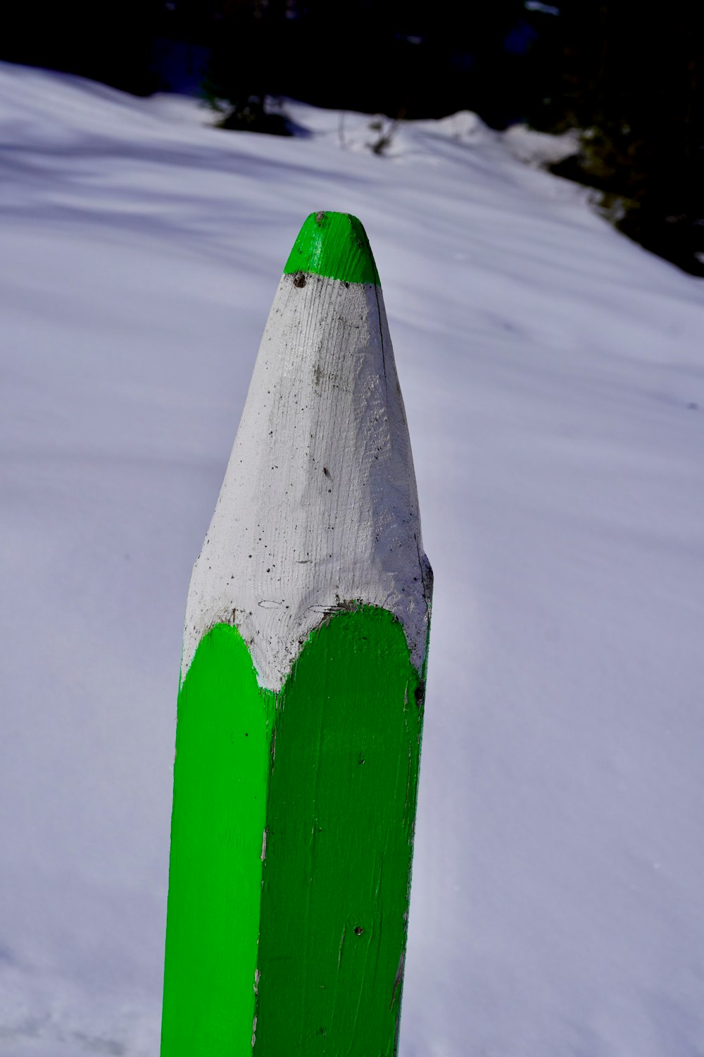 a close up of a pencil in the snow