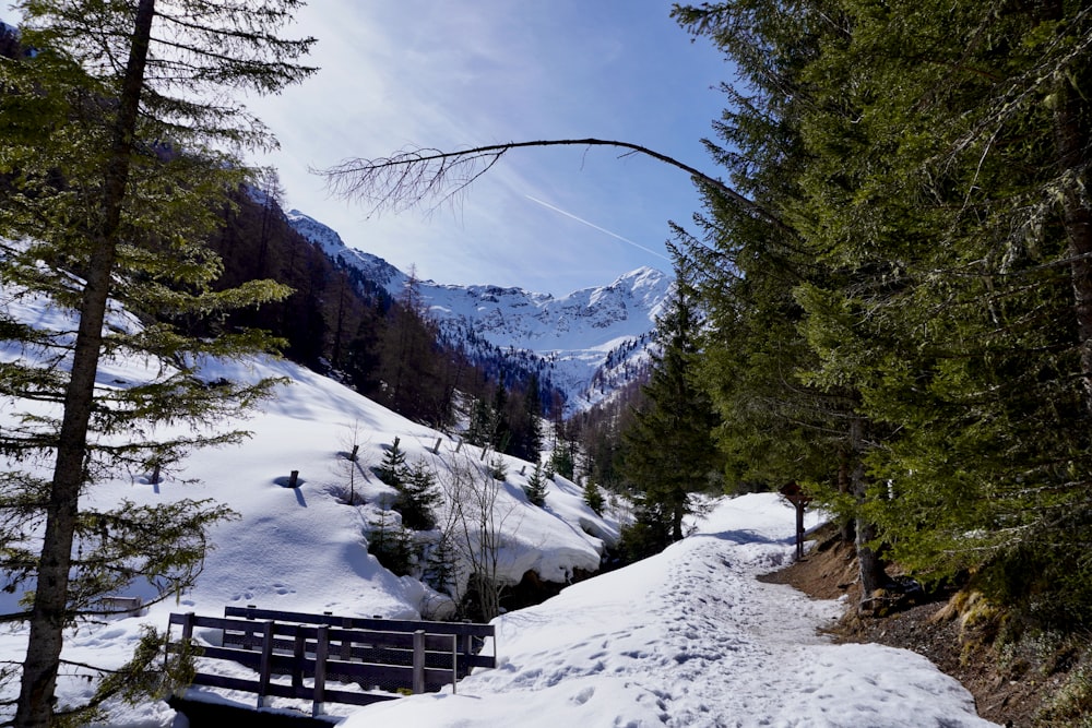 a bench sitting on top of a snow covered slope