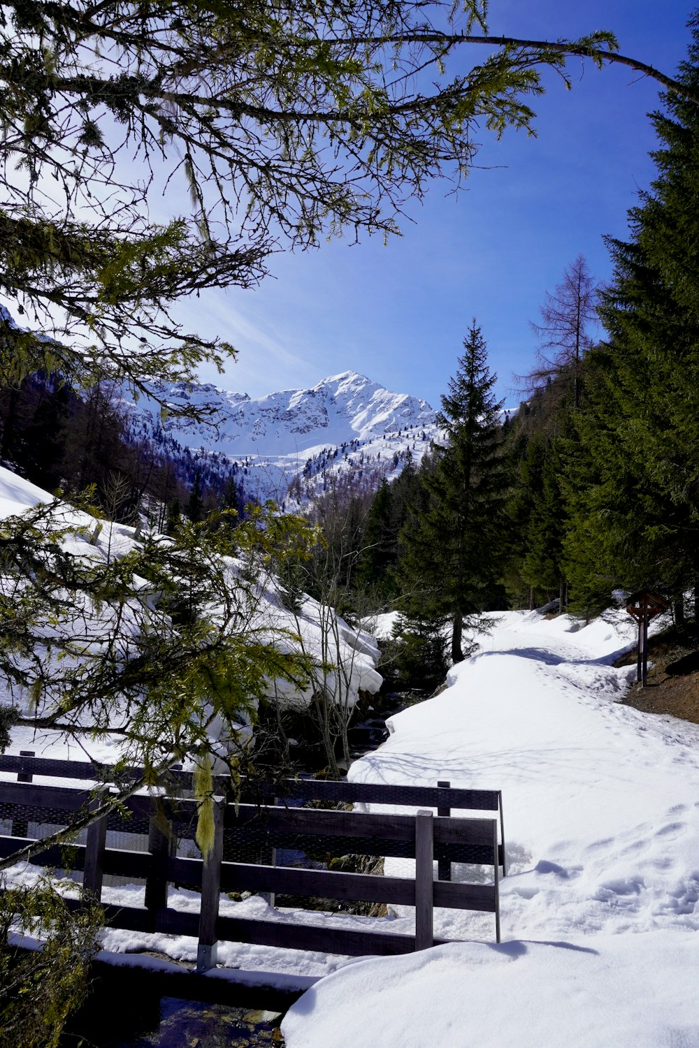 a wooden bench sitting in the middle of a snow covered forest