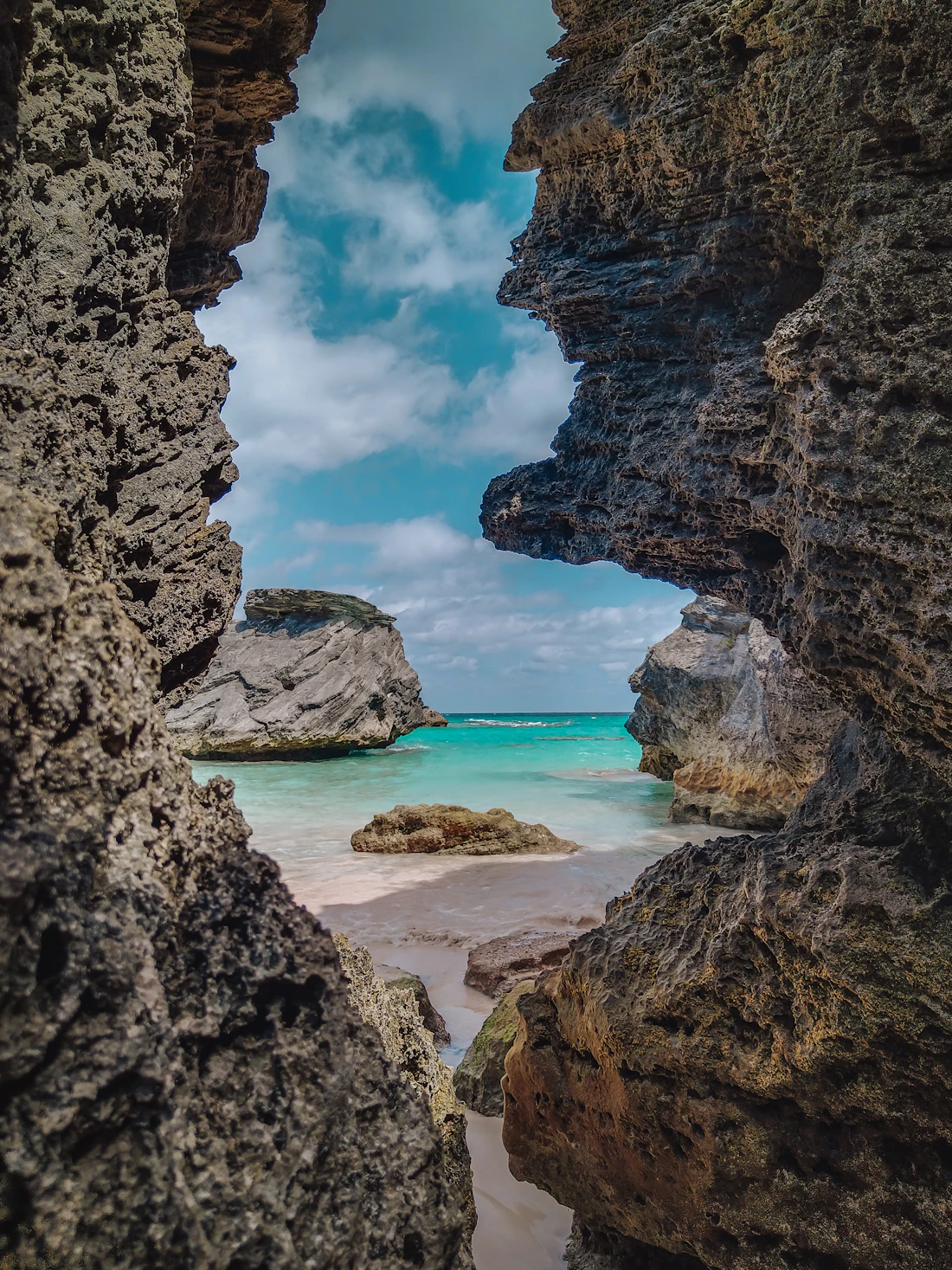 Storia e natura