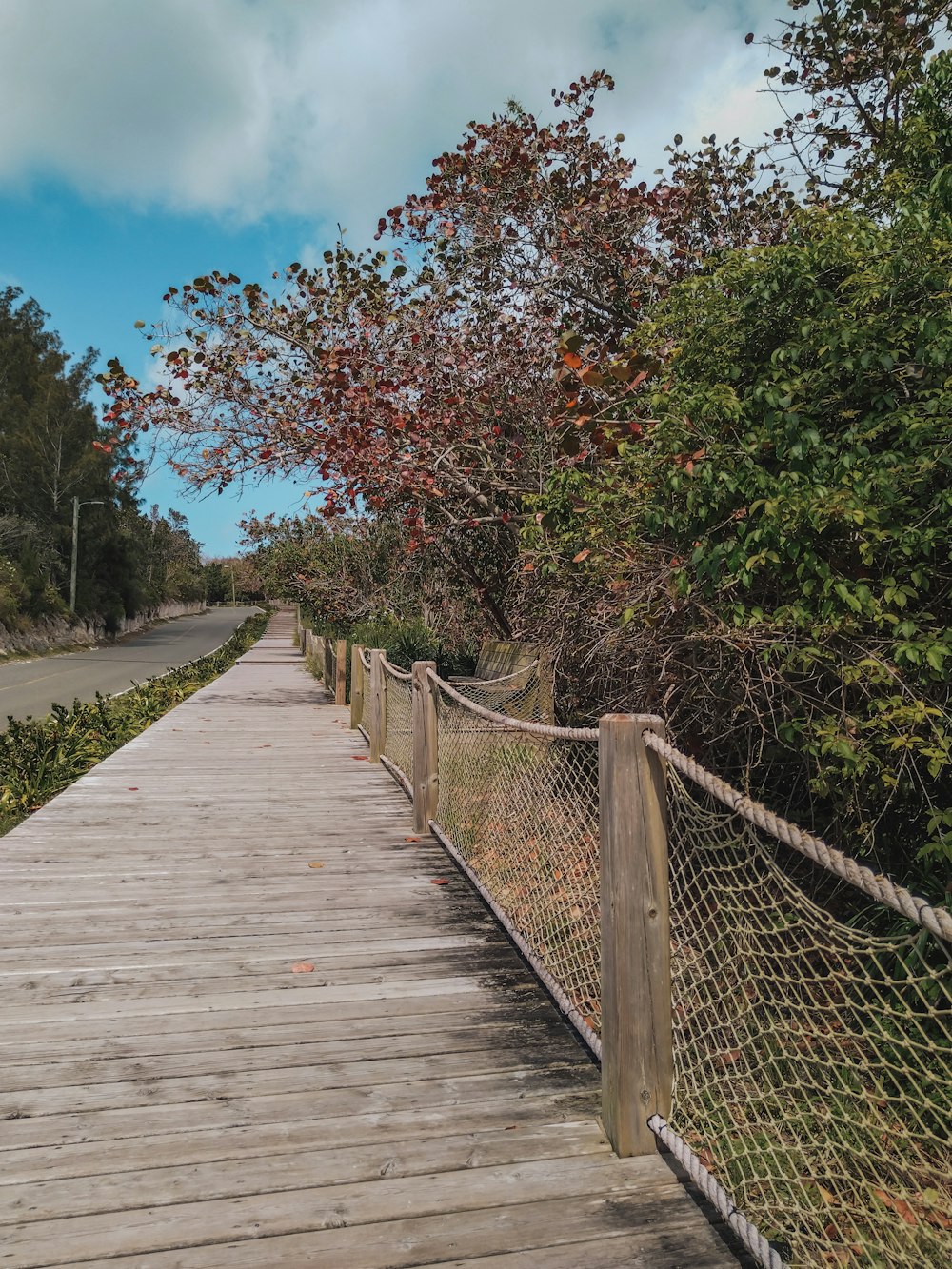 a wooden walkway surrounded by trees on a cloudy day