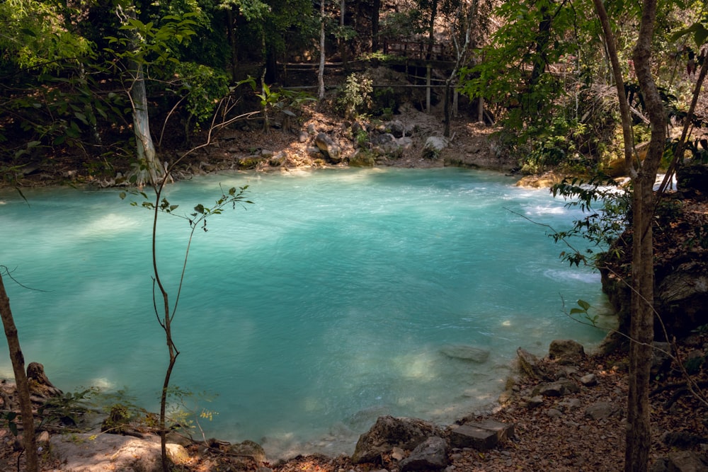 a body of water surrounded by trees and rocks