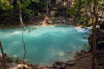 A serene turquoise pool is surrounded by dense green forest. The water appears calm and is bordered by rocks and lush vegetation. Sunlight filters through the trees, illuminating the water's surface and creating a tranquil atmosphere.