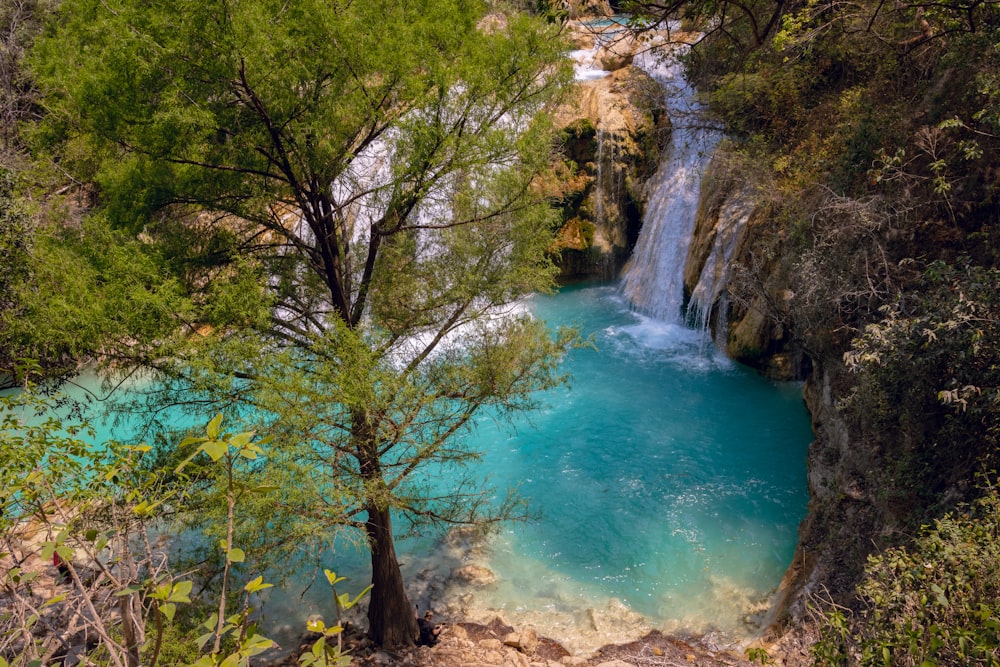 a waterfall in the middle of a river surrounded by trees