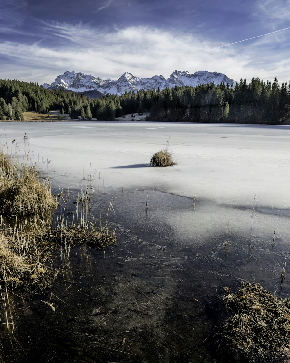 나무와 산으로 둘러싸인 얼어붙은 호수