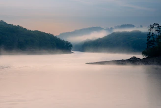 A serene river winding through misty hills at dawn, capturing the quiet beauty of an untouched landscape.