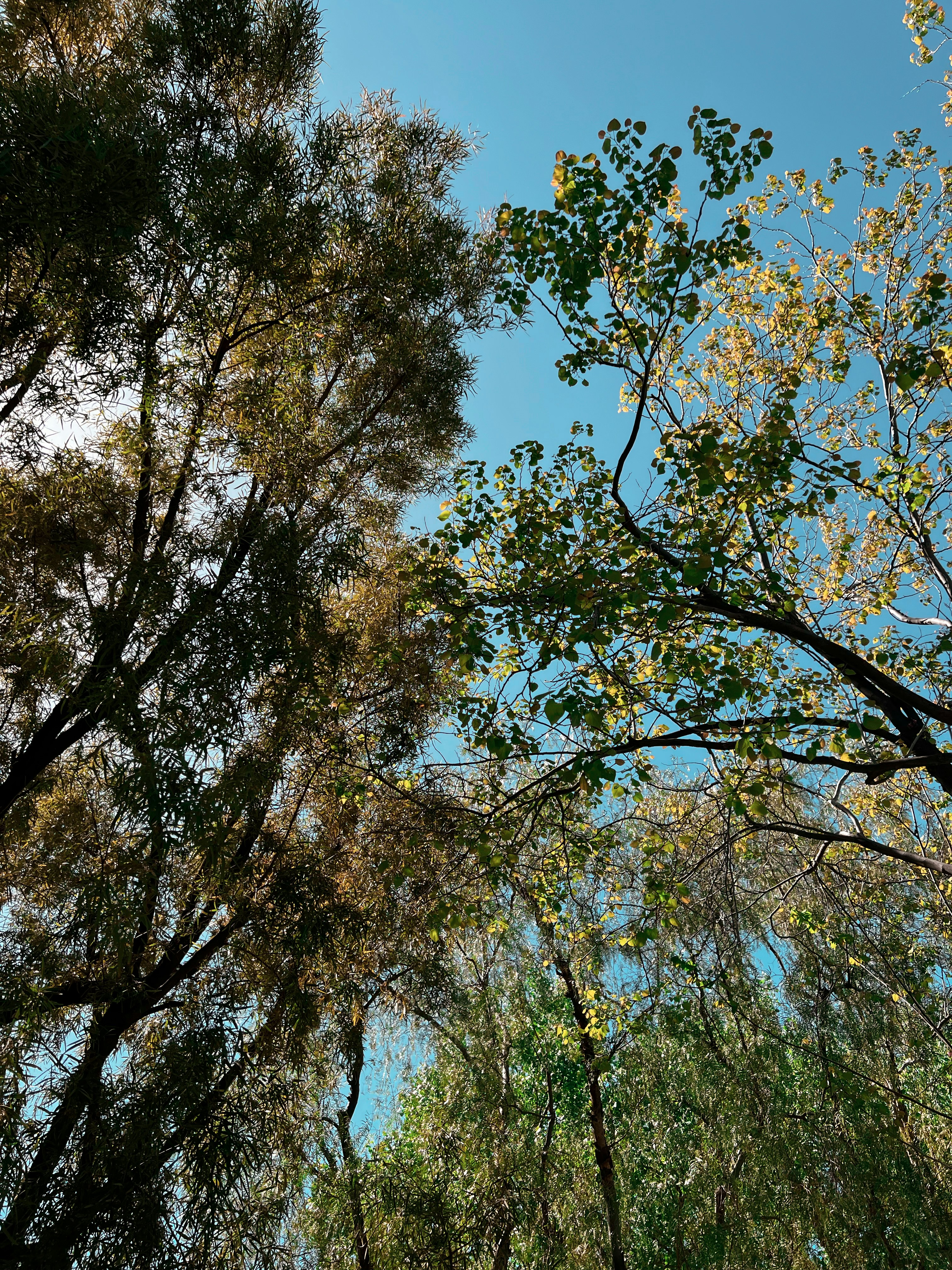 Photo by _nickwright_