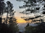 The image captures a serene sunset with the sun setting behind distant mountains. Tall trees with lush green foliage frame the scene, creating a natural silhouette against the colorful sky. The sky is a gradient of soft yellows and oranges, contributing to a tranquil atmosphere.