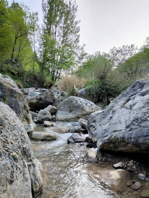 A serene landscape featuring natural stones in harmony with nature.
