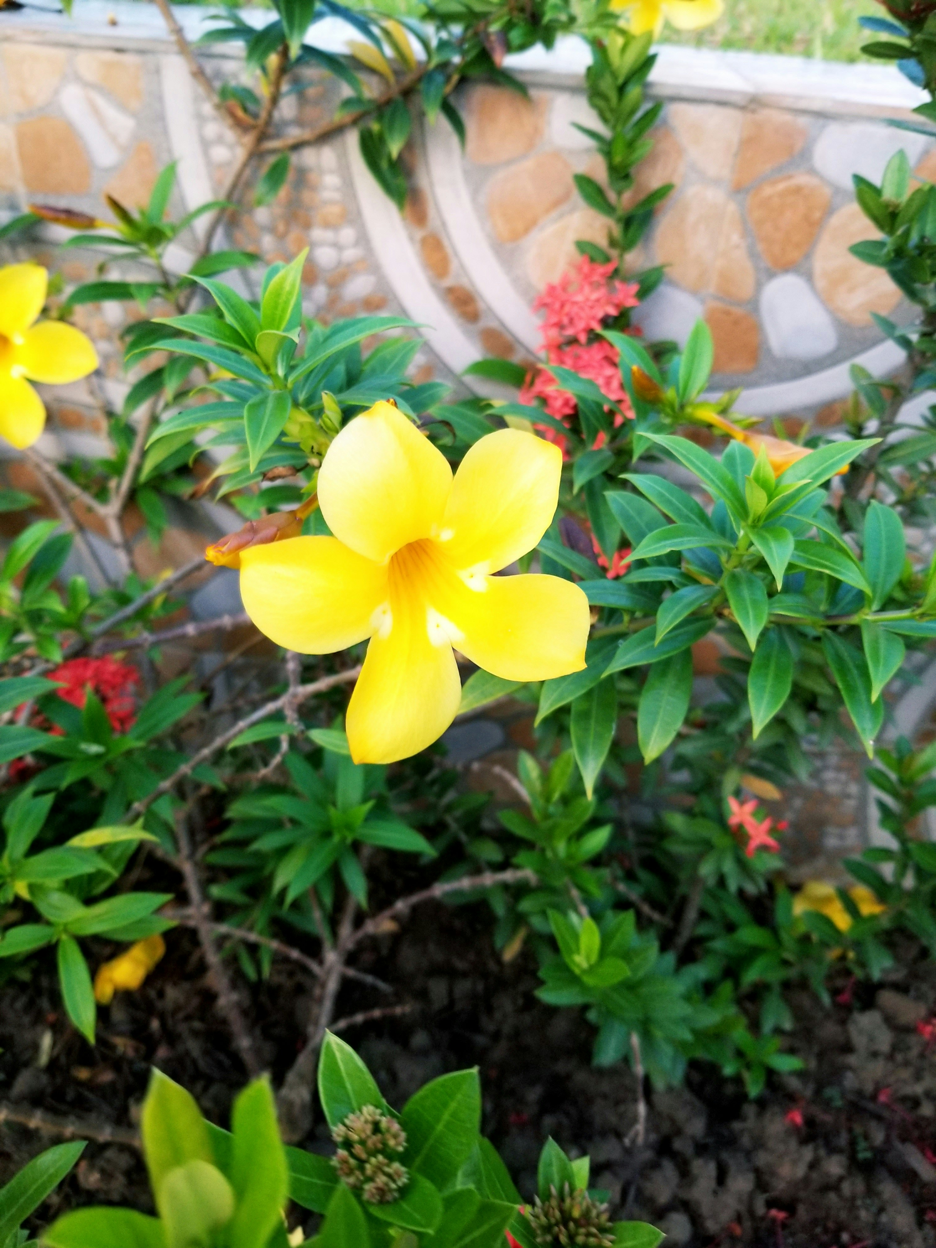 Photo by youngson003