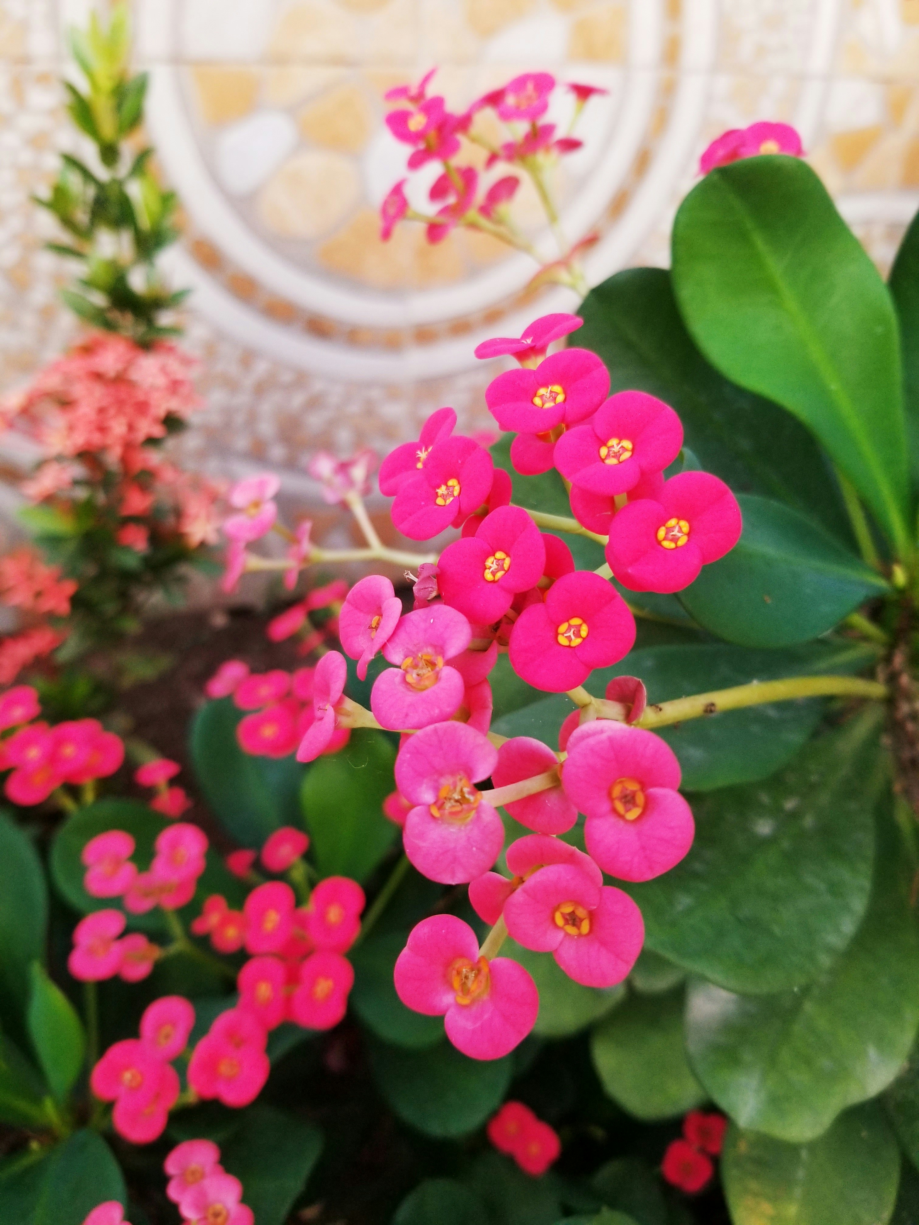 Photo by youngson003