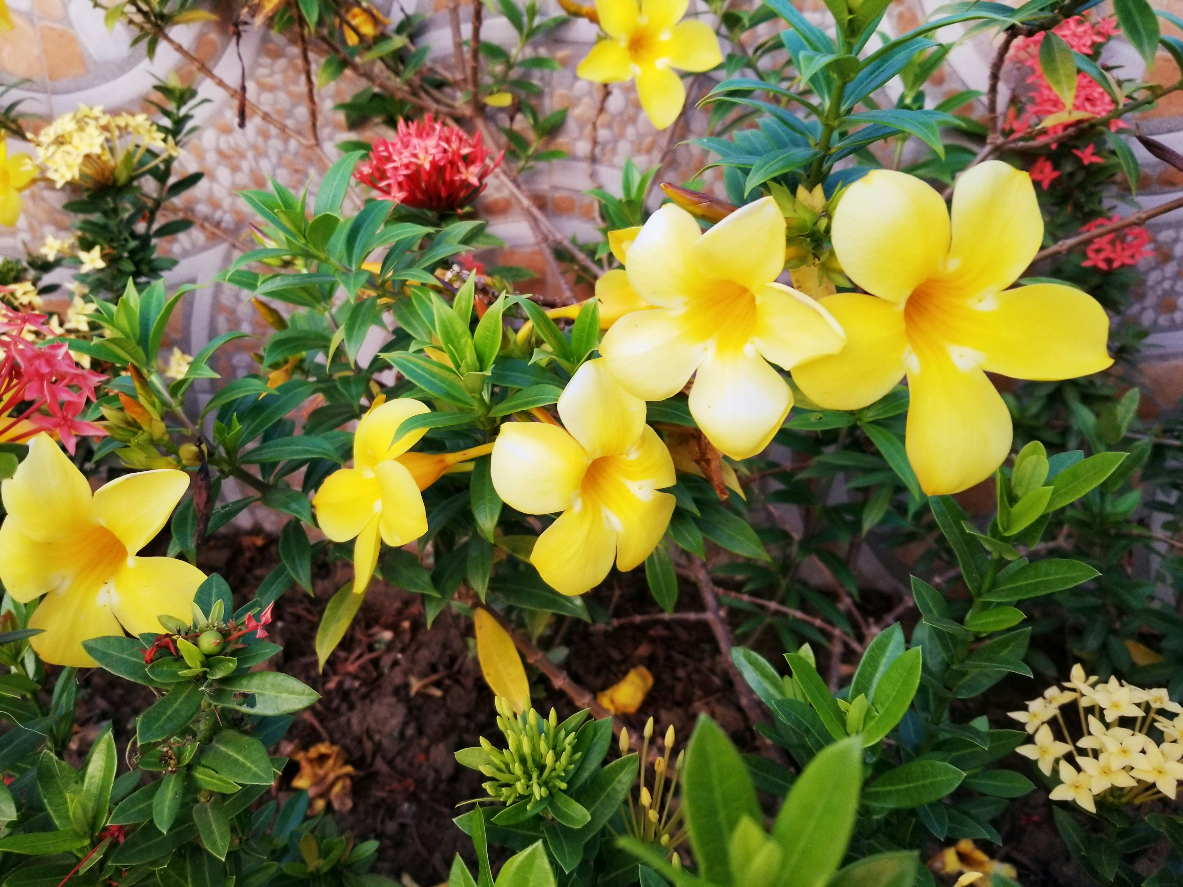 Photo by youngson003