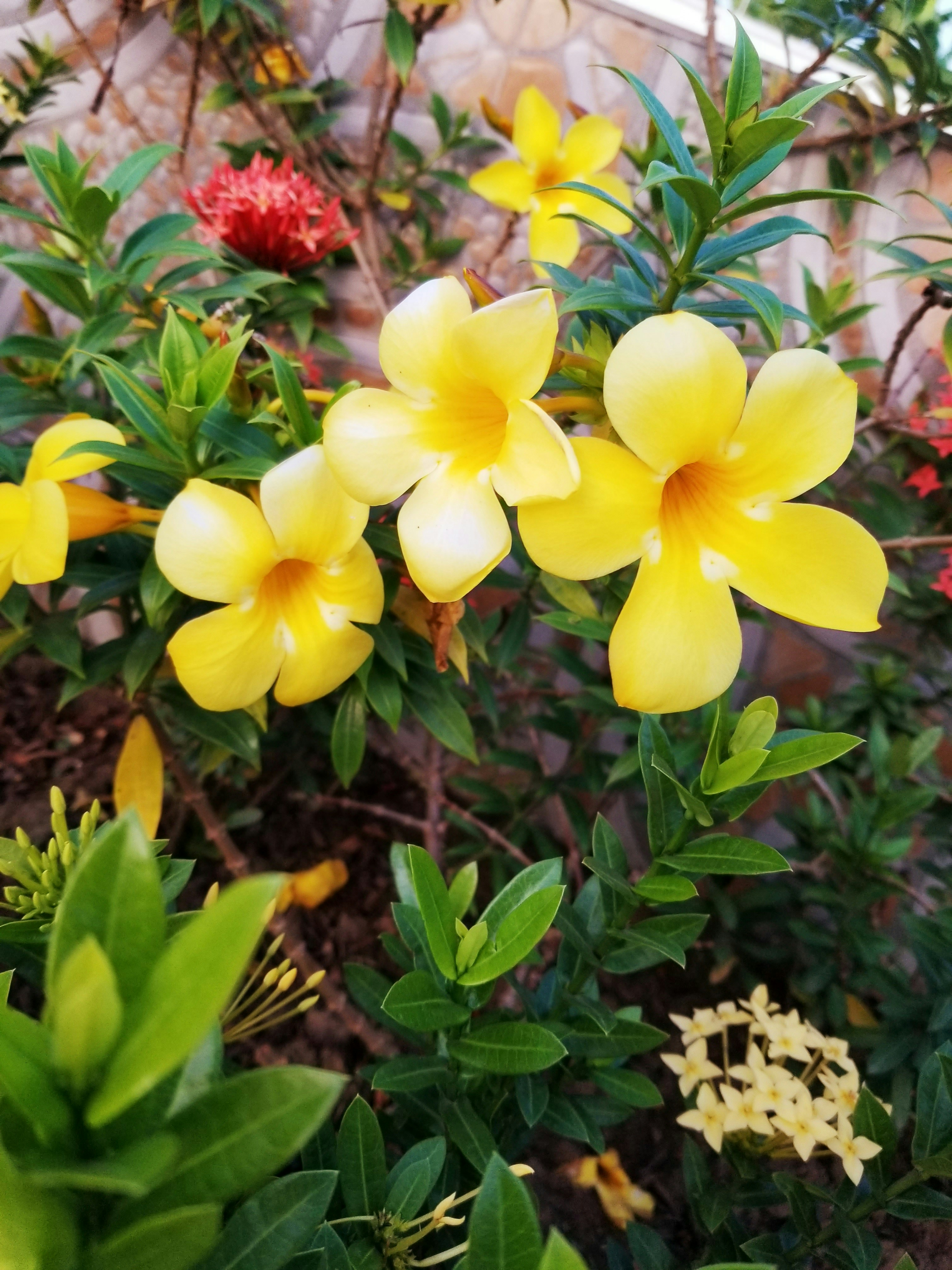 Photo by youngson003