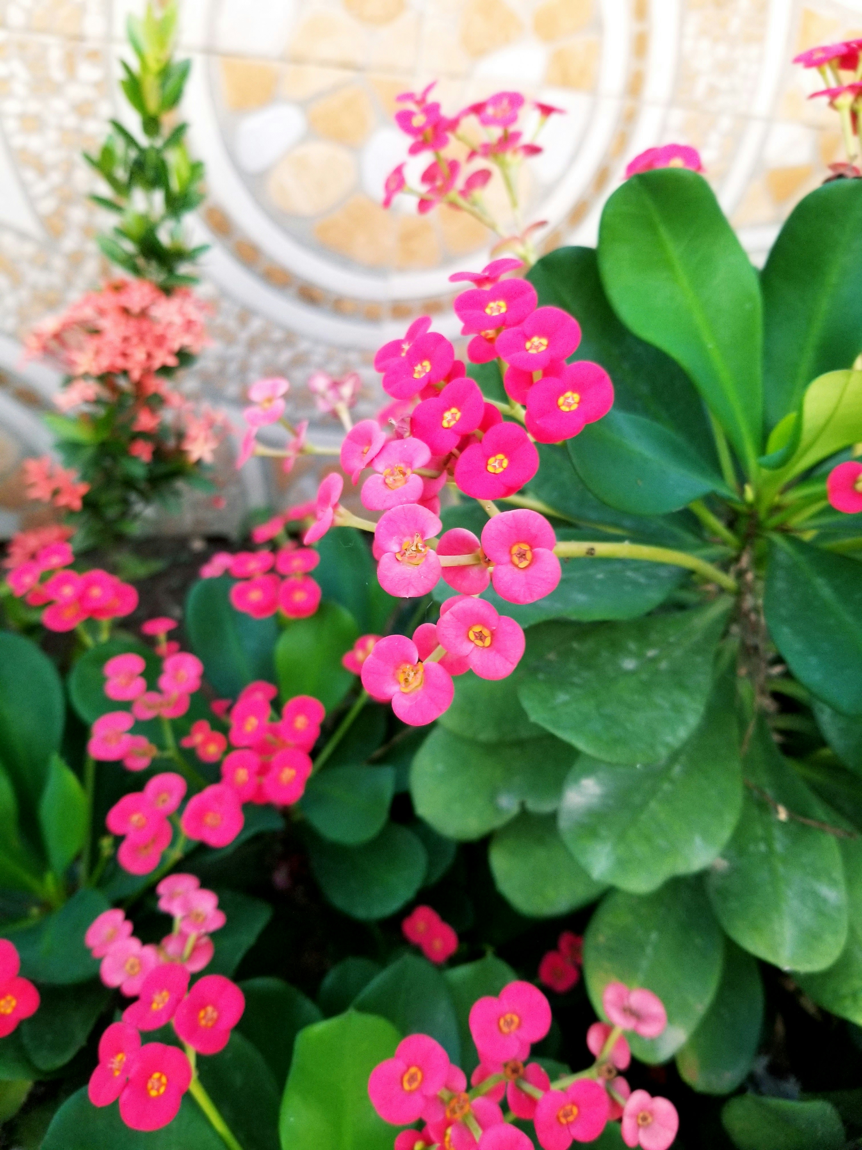 Photo by youngson003