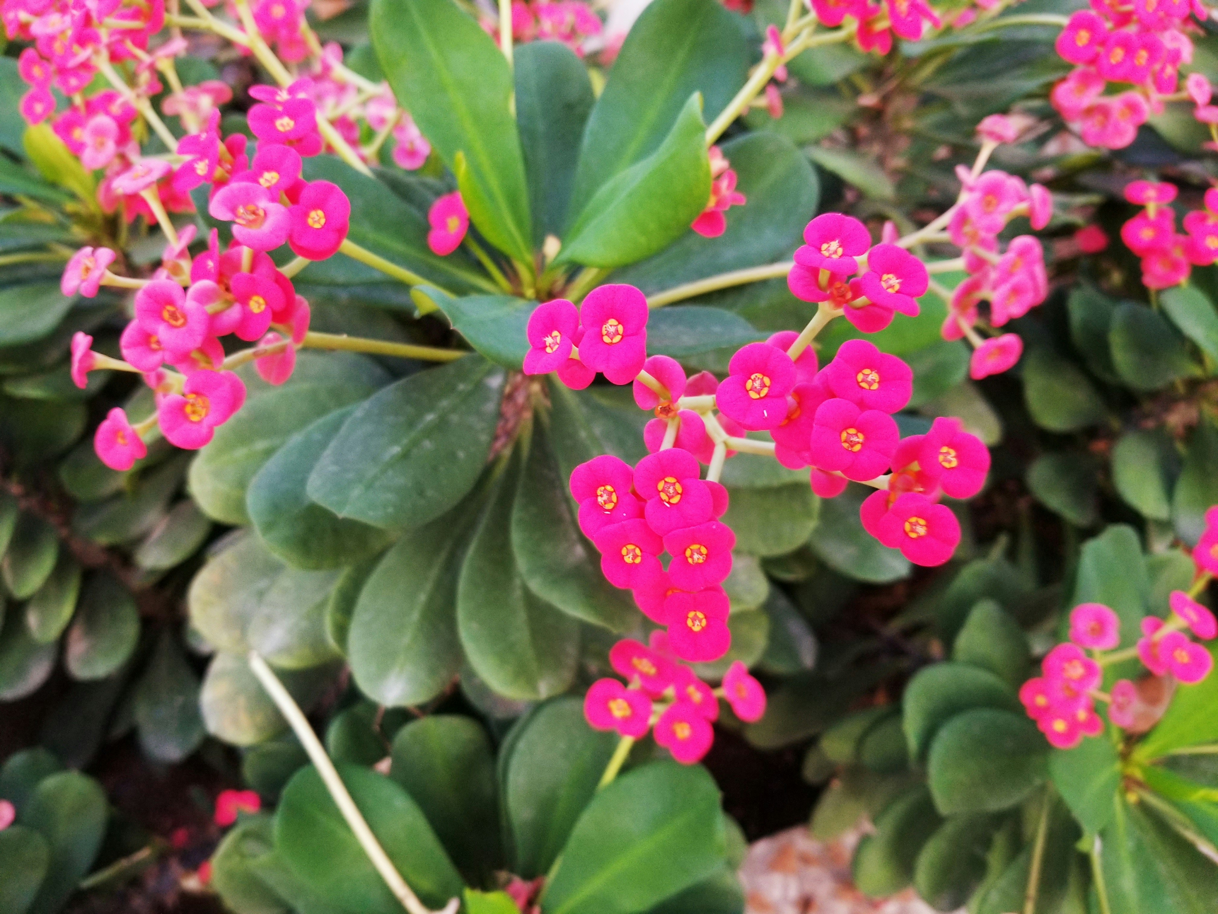 Photo by youngson003