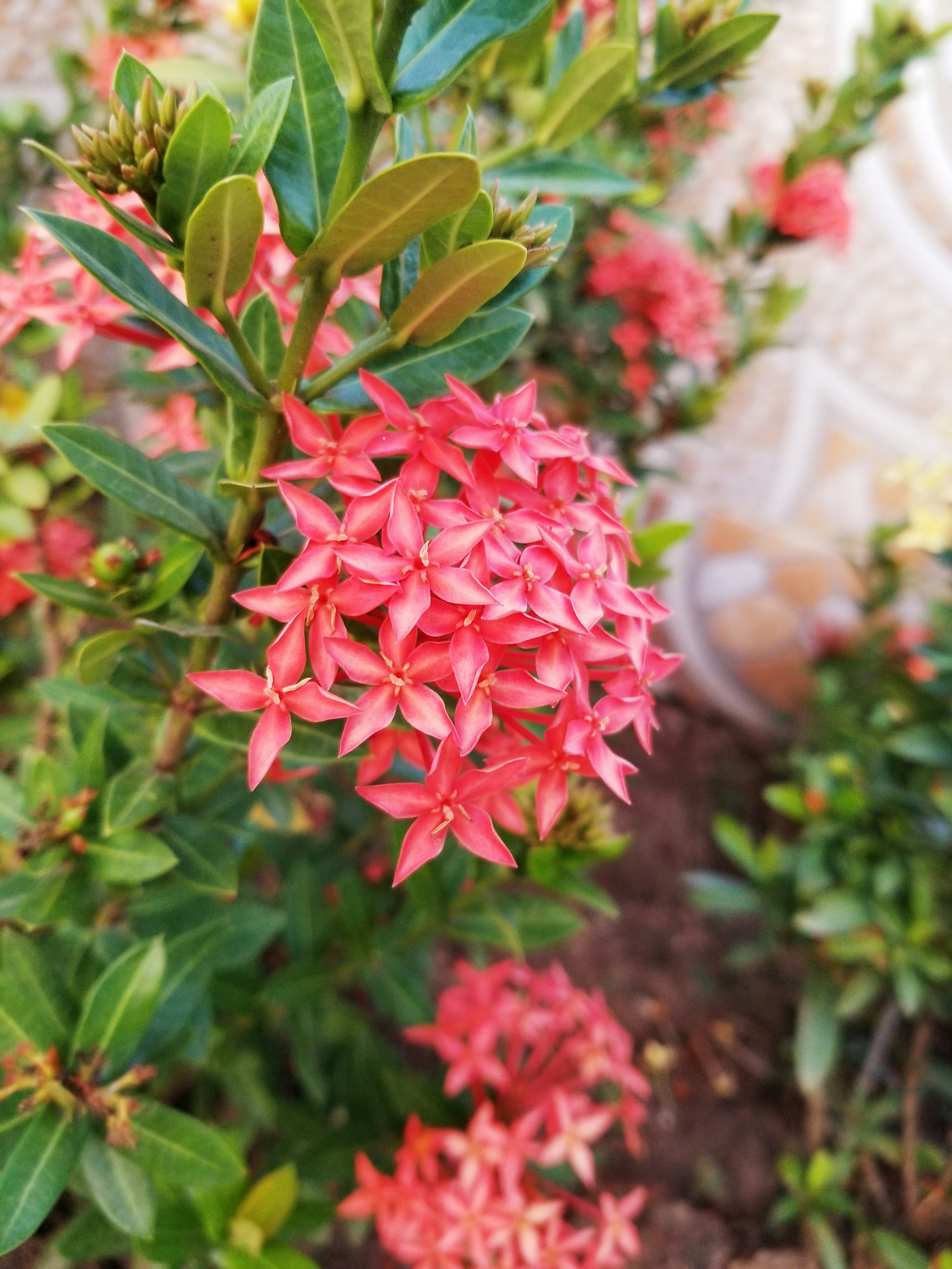 Photo by youngson003