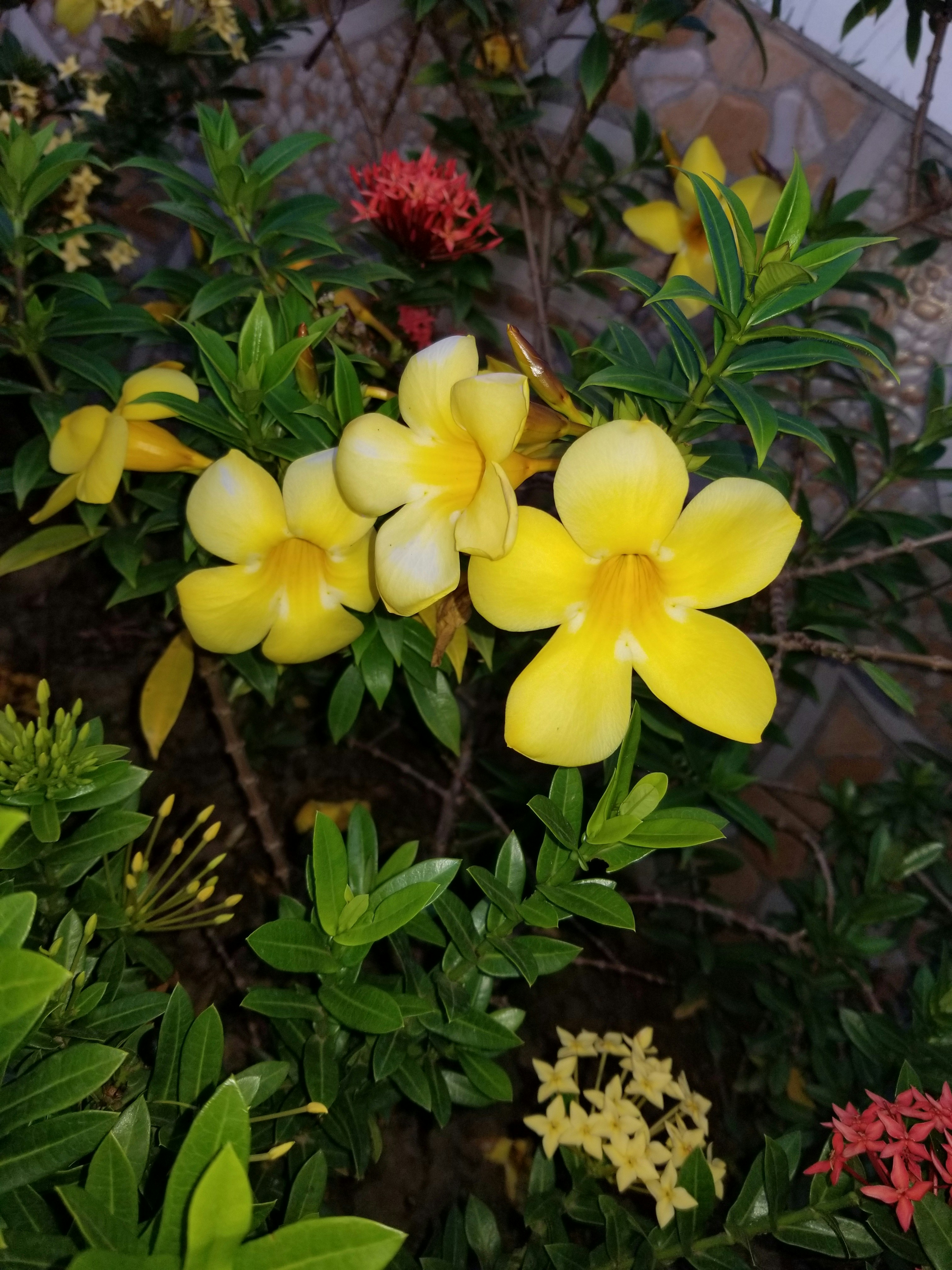 Photo by youngson003