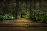 A wooden pathway leads through a dense forest, surrounded by lush green foliage. At the end of the path is a small wooden structure with a sloped roof, partially hidden by the trees. The sunlight filters through the canopy, casting dappled light on the path and creating a serene, mystical atmosphere.