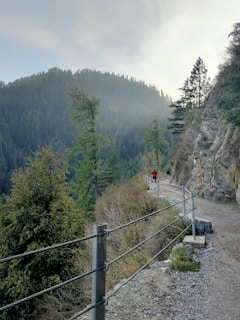 A narrow hiking trail runs along a mountainside, fenced with metal cables for safety. Dense evergreen trees cover the surrounding hills in the background, and the sky appears overcast with clouds. A person wearing a red and black jacket walks along the path.