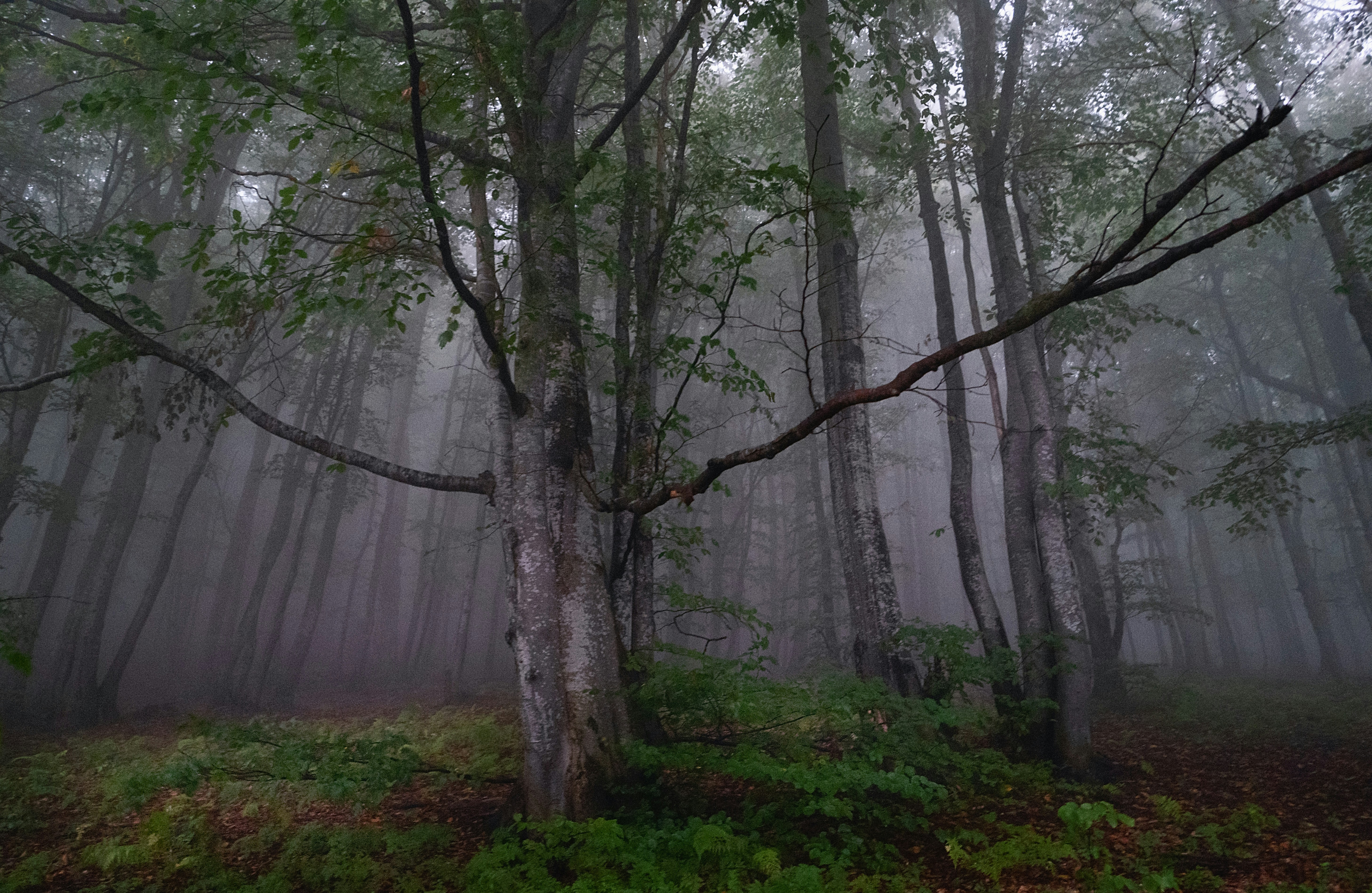 Photo by sevencolors