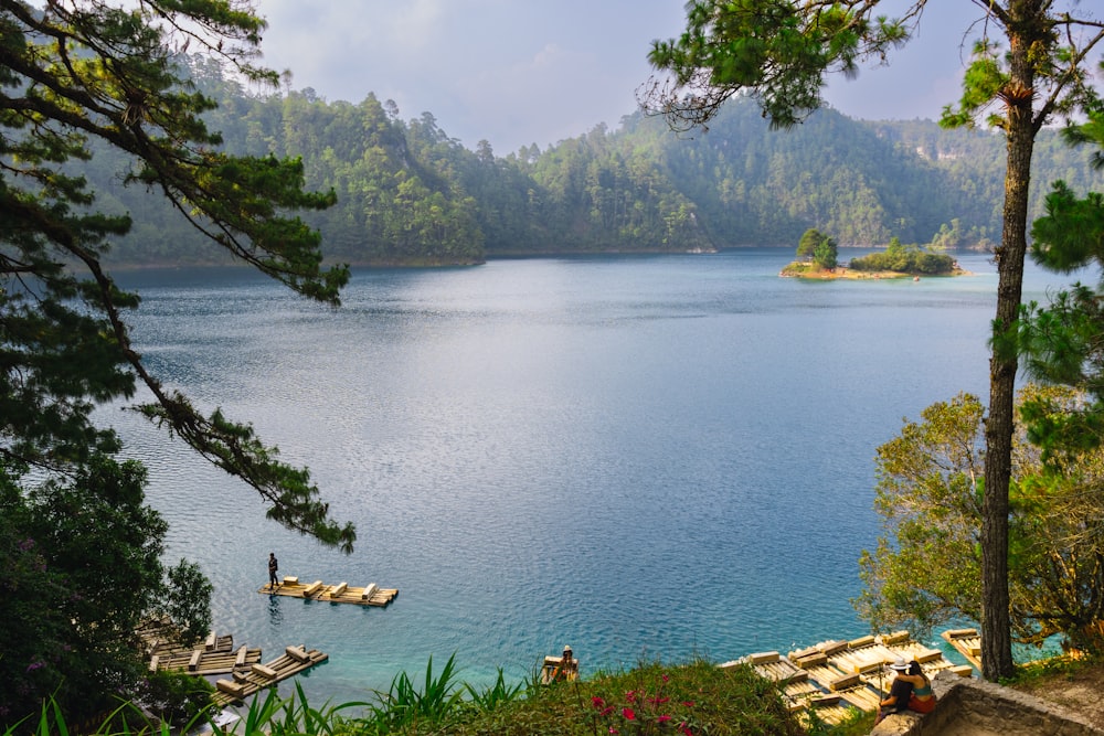 un cuerpo de agua rodeado de árboles y un bosque