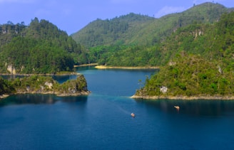 a body of water surrounded by mountains and trees